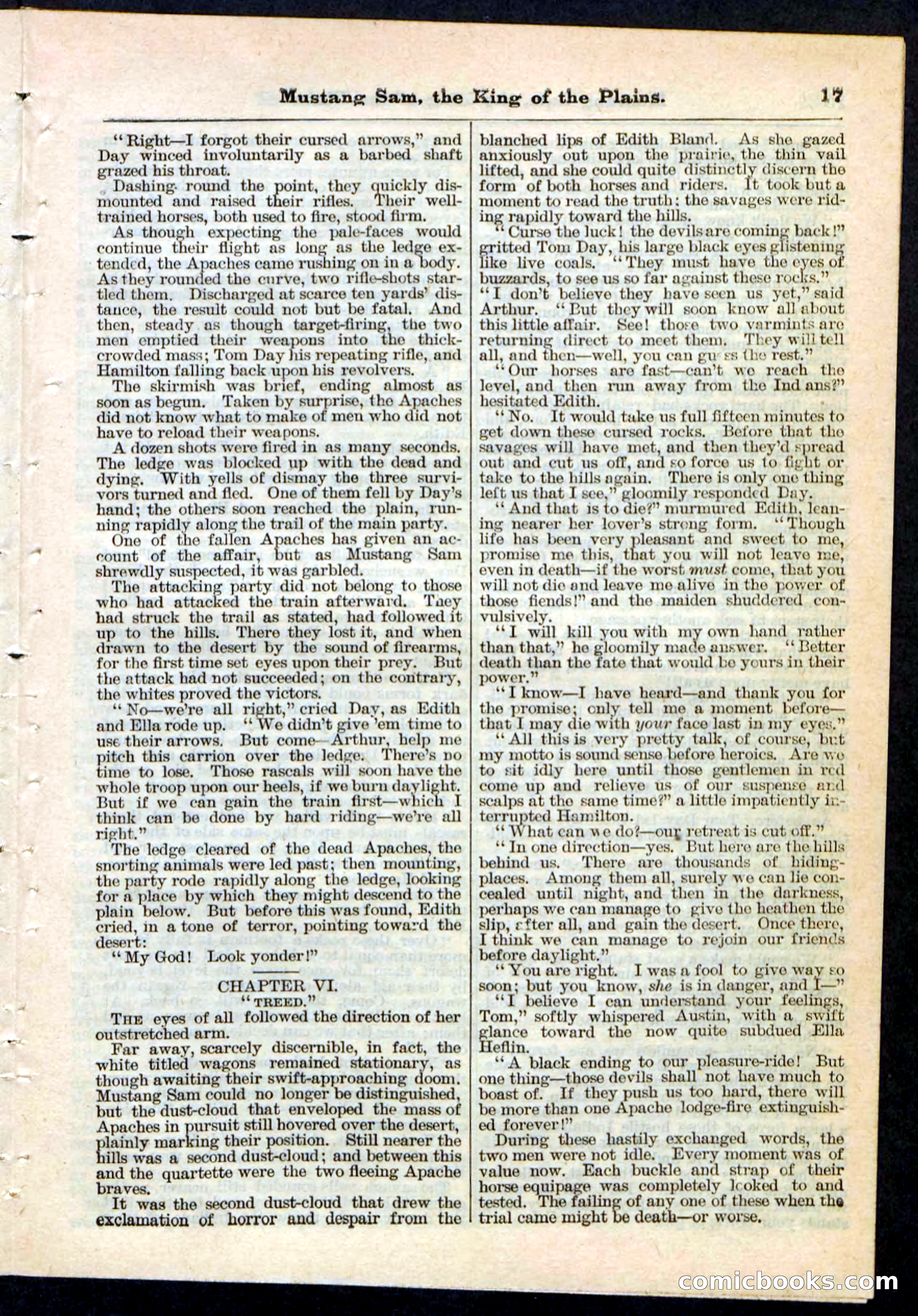 Beadle's Pocket Library No. 91 — page 17 of 32