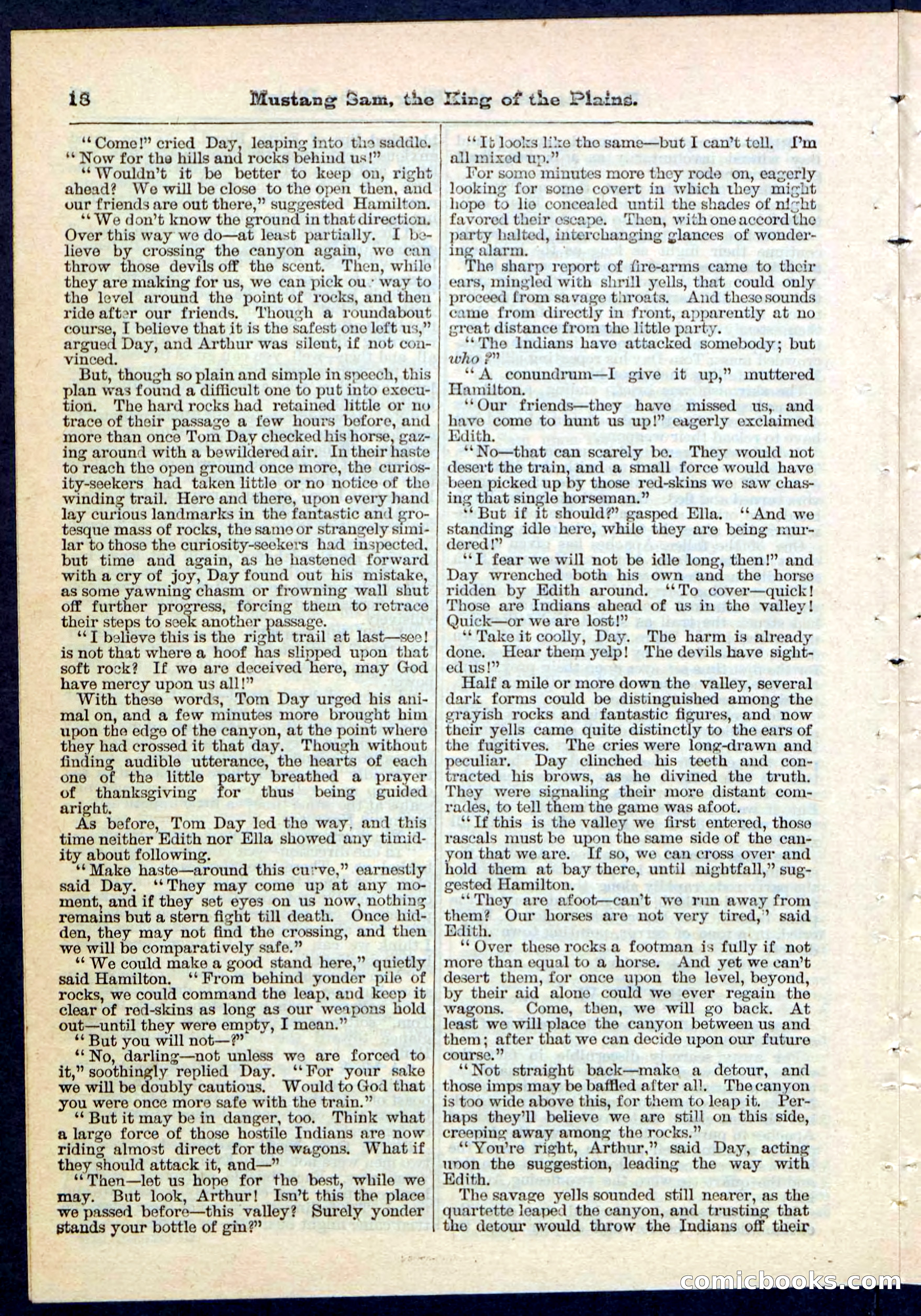 Beadle's Pocket Library No. 91 — page 18 of 32