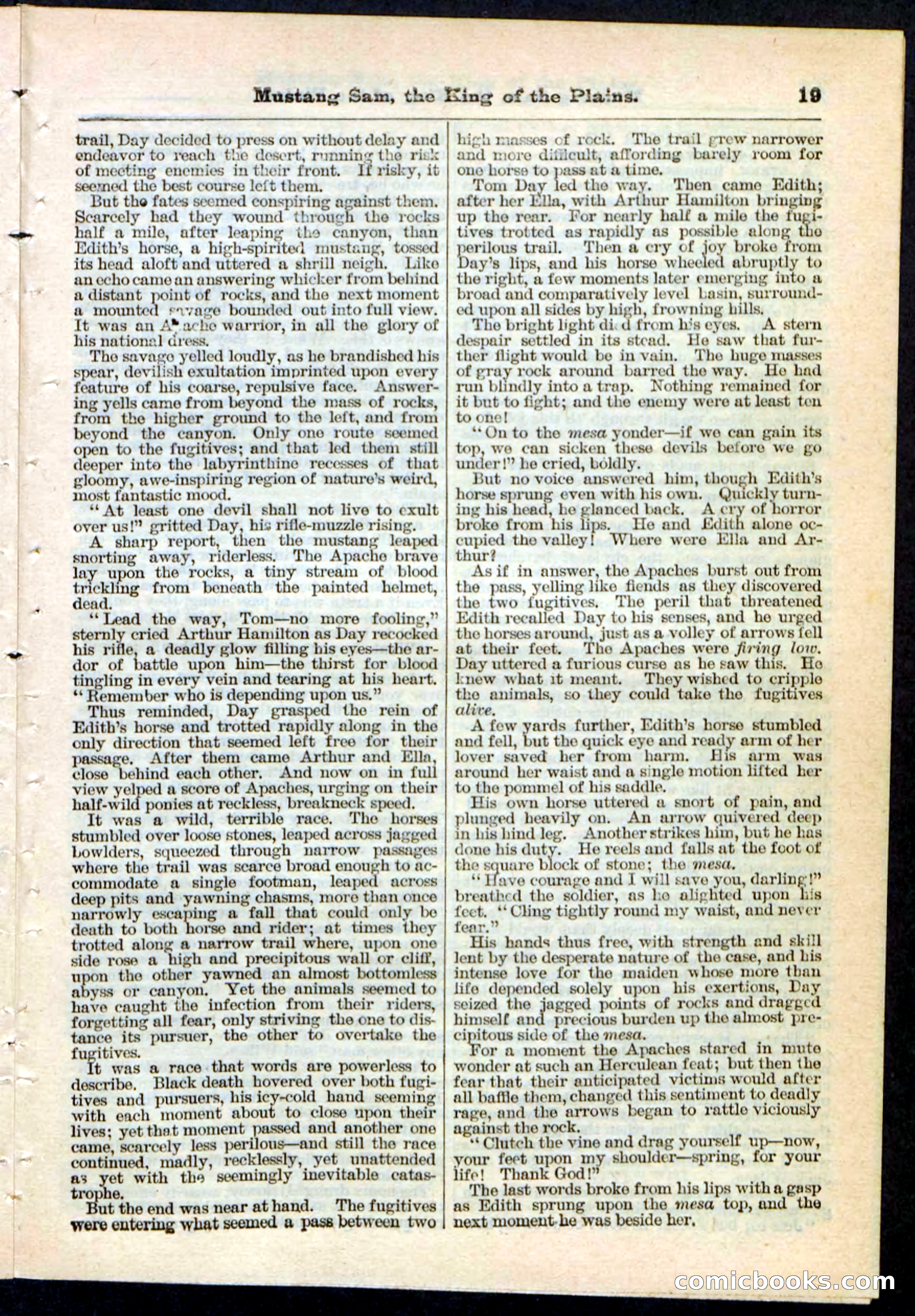 Beadle's Pocket Library No. 91 — page 19 of 32
