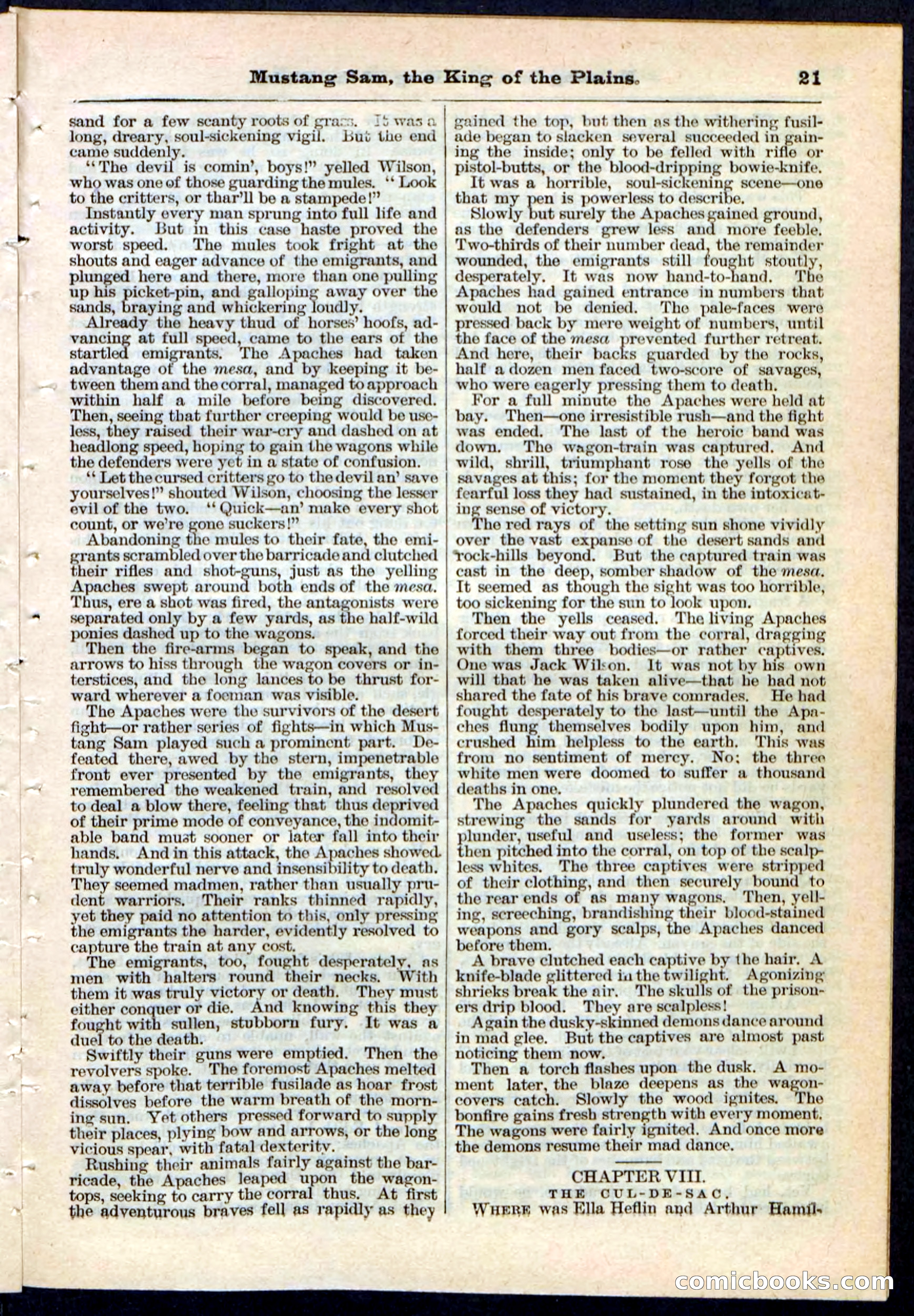 Beadle's Pocket Library No. 91 — page 21 of 32