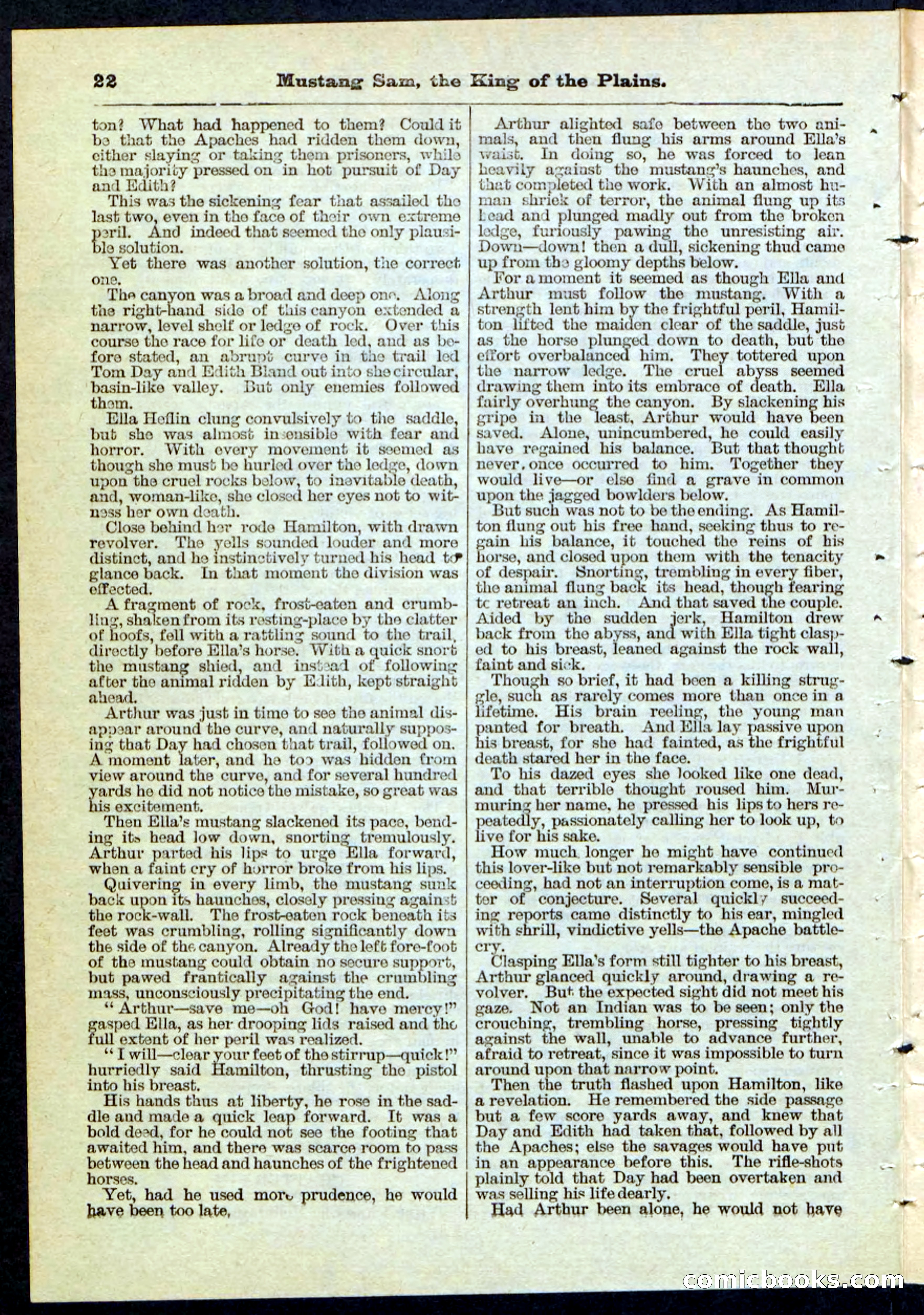 Beadle's Pocket Library No. 91 — page 22 of 32