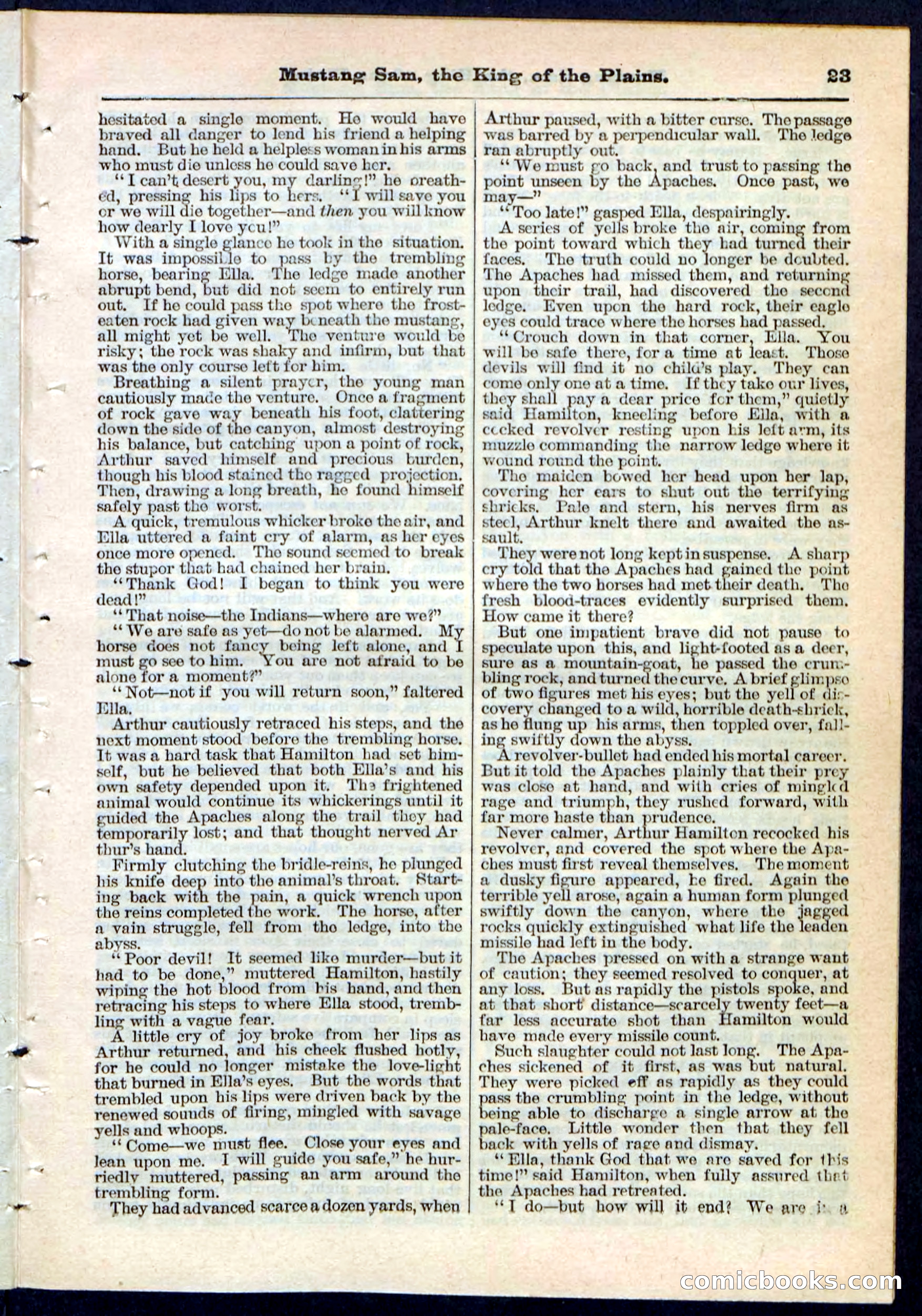 Beadle's Pocket Library No. 91 — page 23 of 32