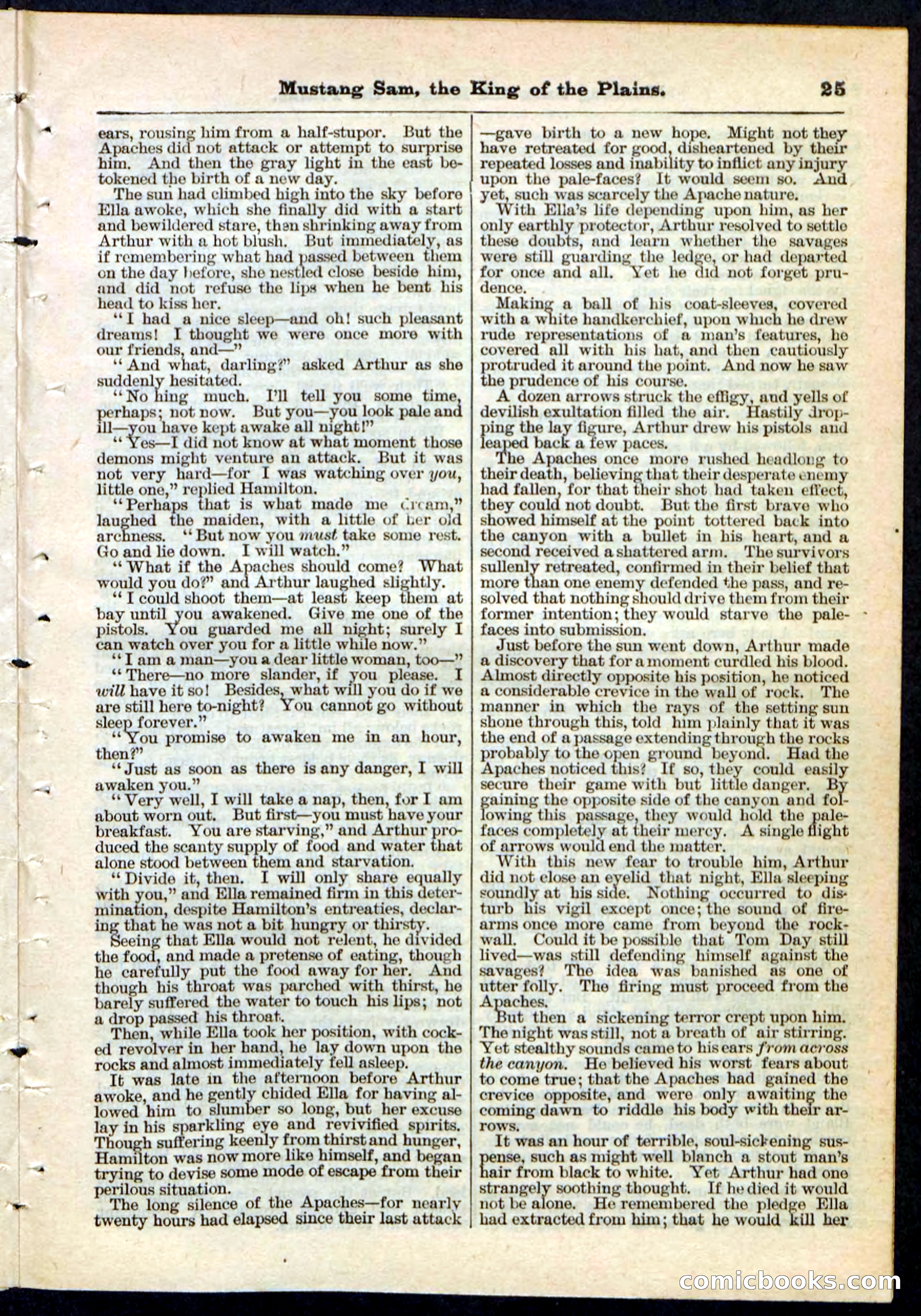 Beadle's Pocket Library No. 91 — page 25 of 32
