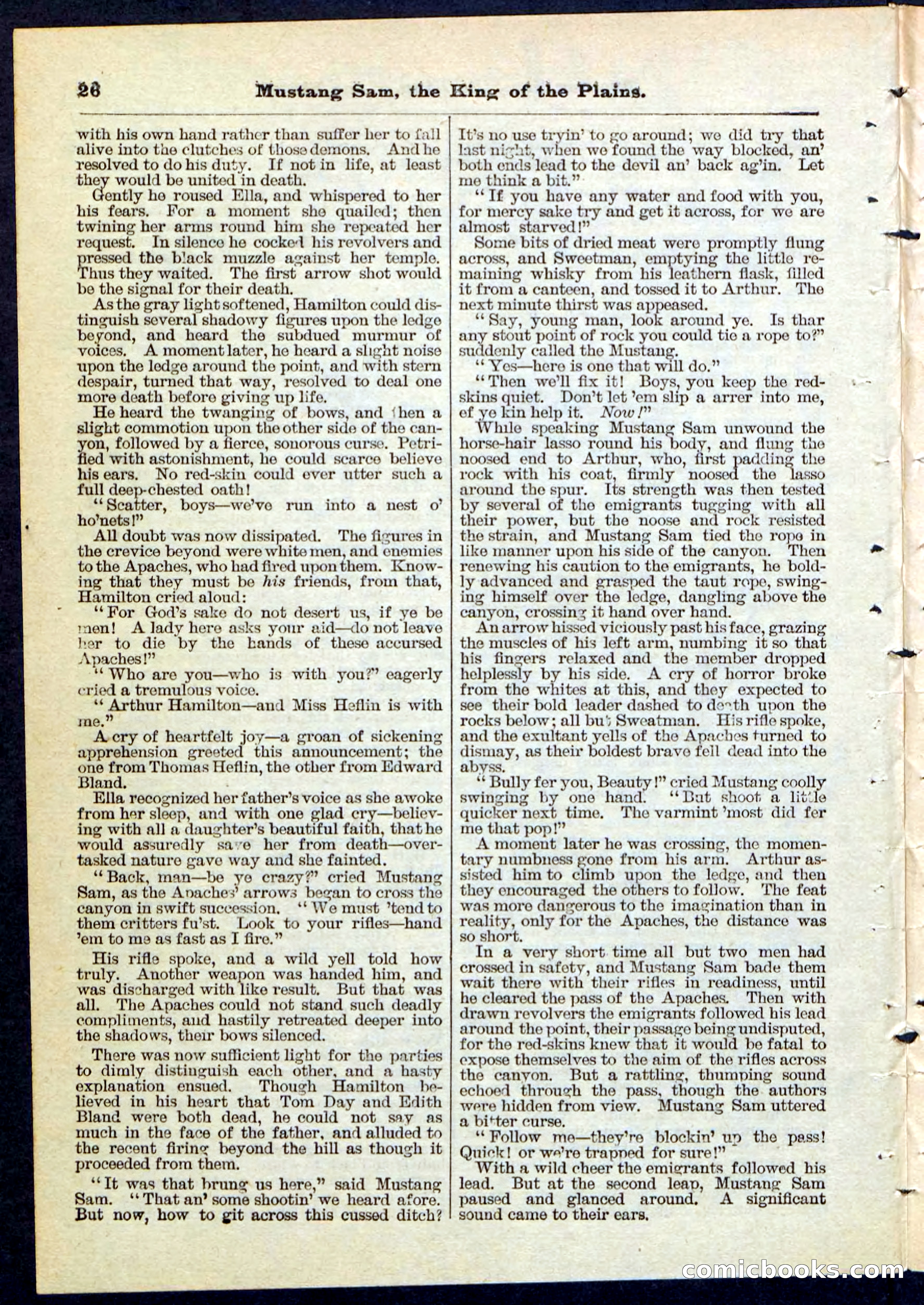 Beadle's Pocket Library No. 91 — page 26 of 32
