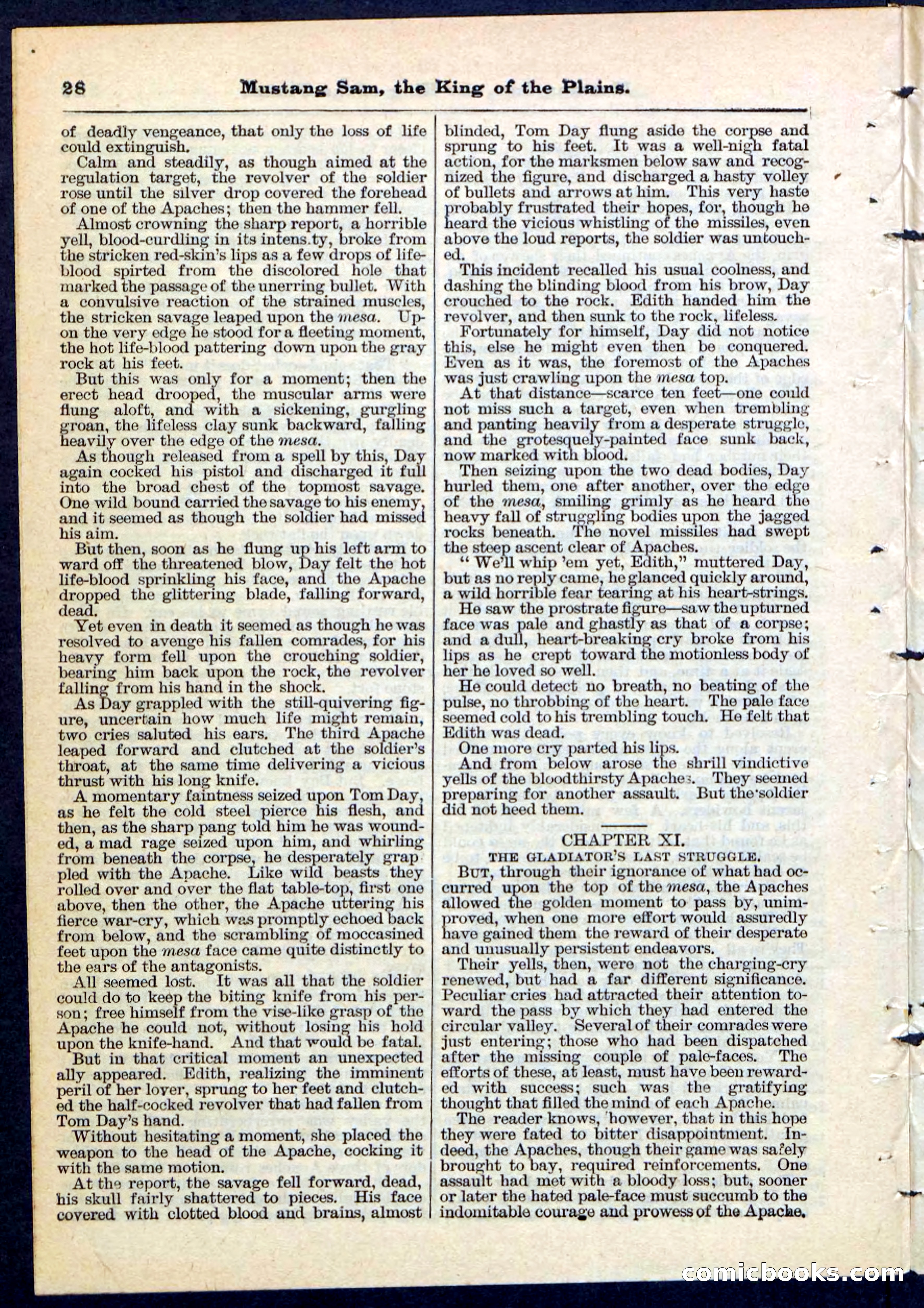 Beadle's Pocket Library No. 91 — page 28 of 32