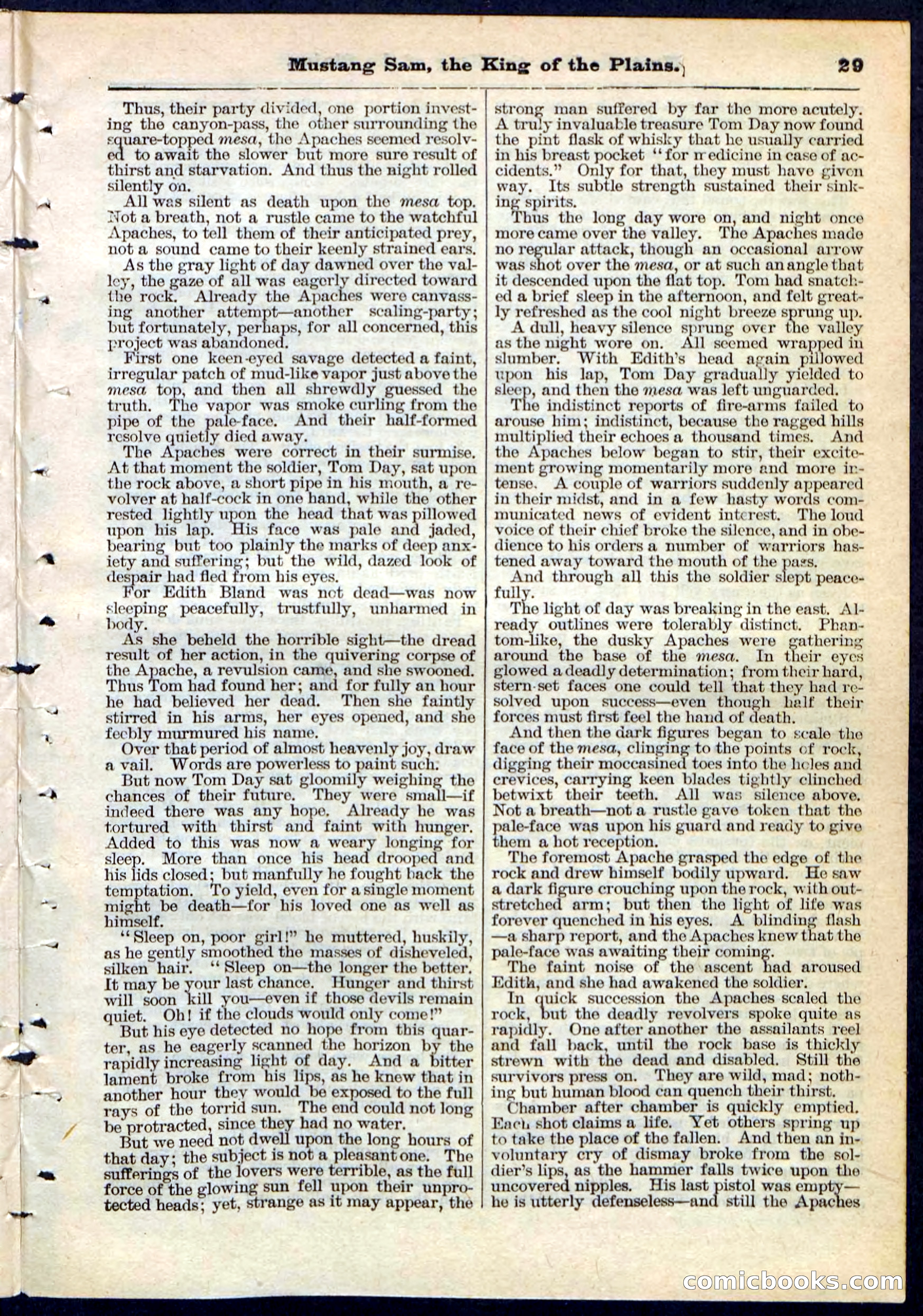 Beadle's Pocket Library No. 91 — page 29 of 32