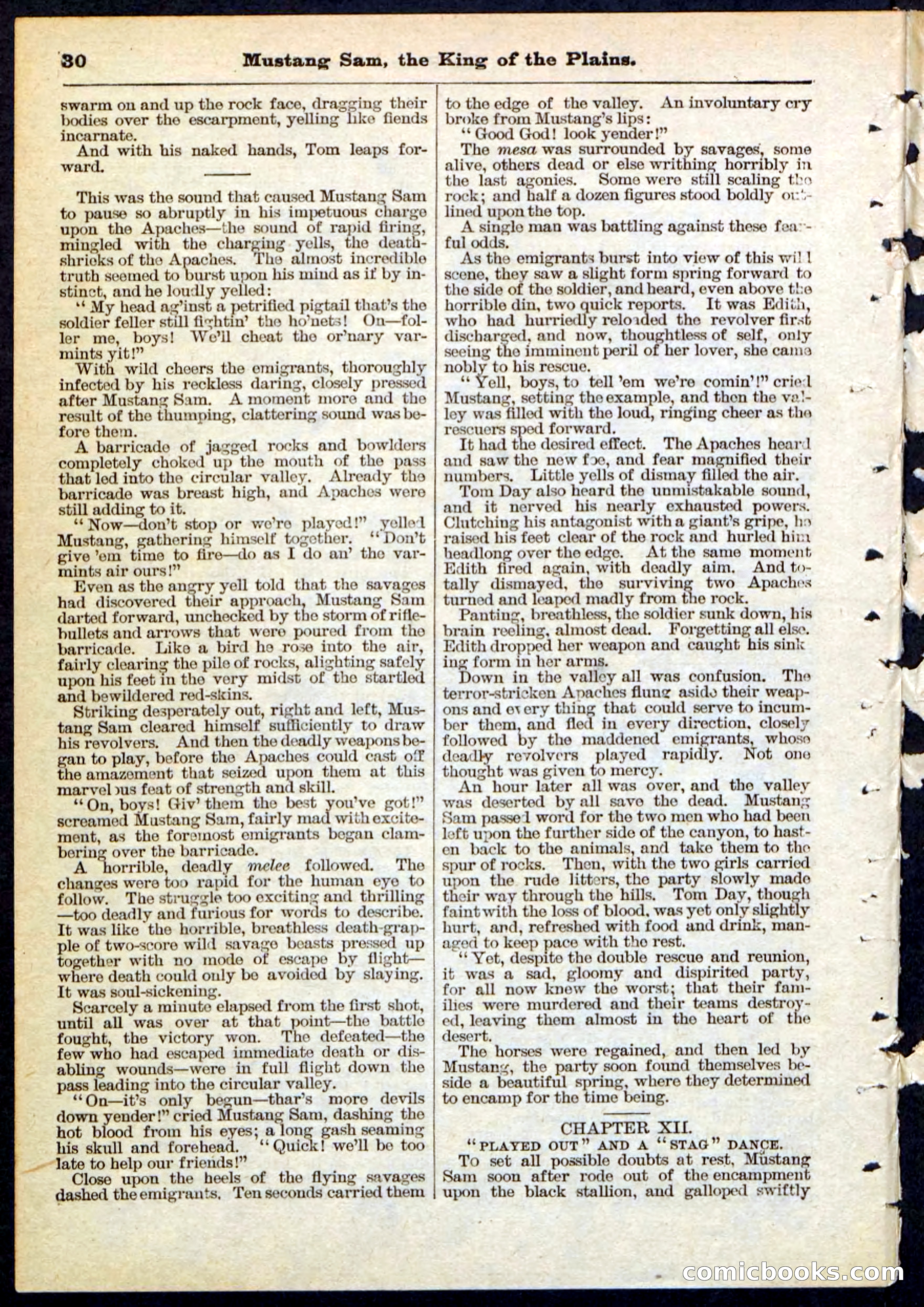Beadle's Pocket Library No. 91 — page 30 of 32