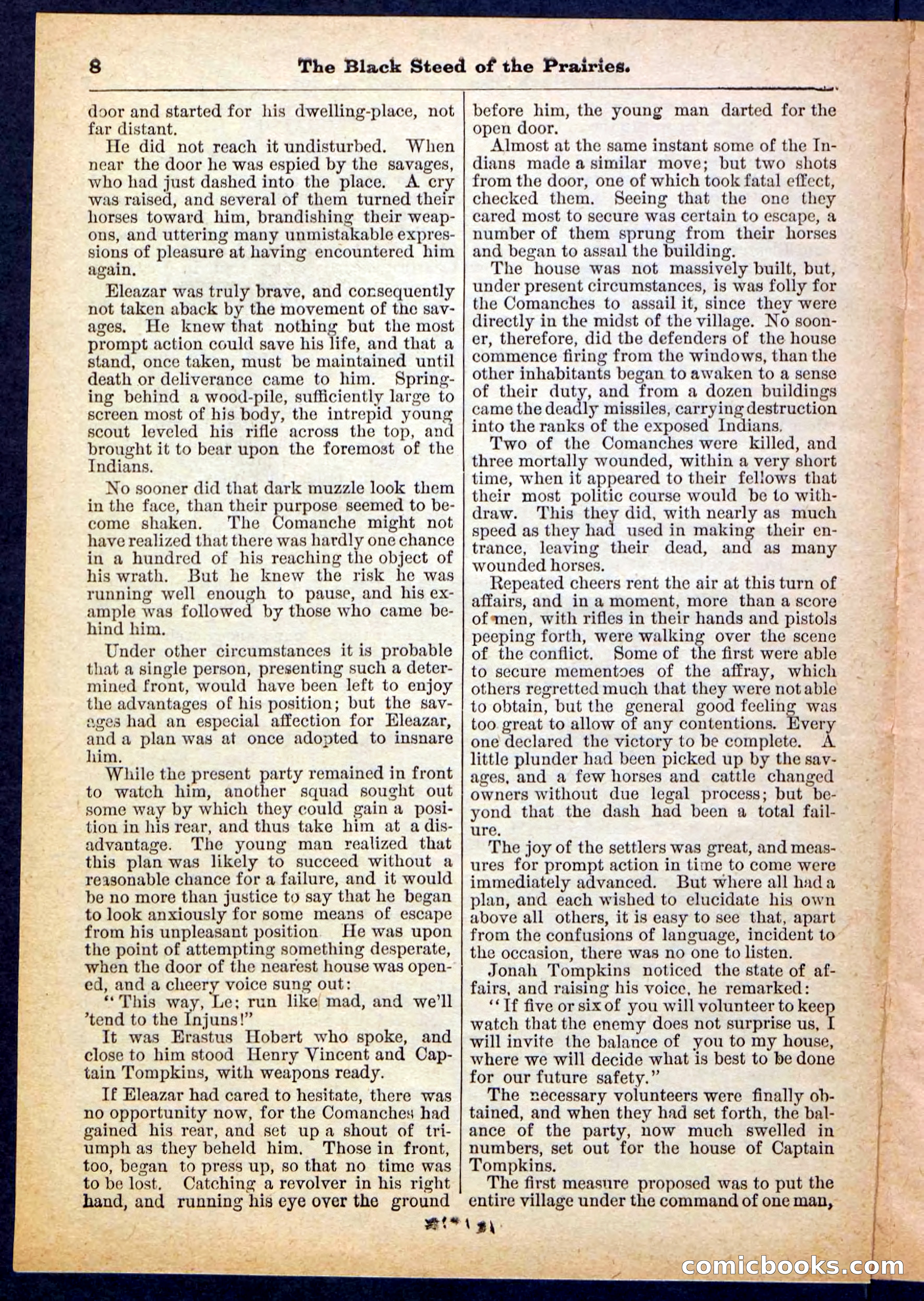 Beadle's Pocket Library, No. 97 — page 8 of 32