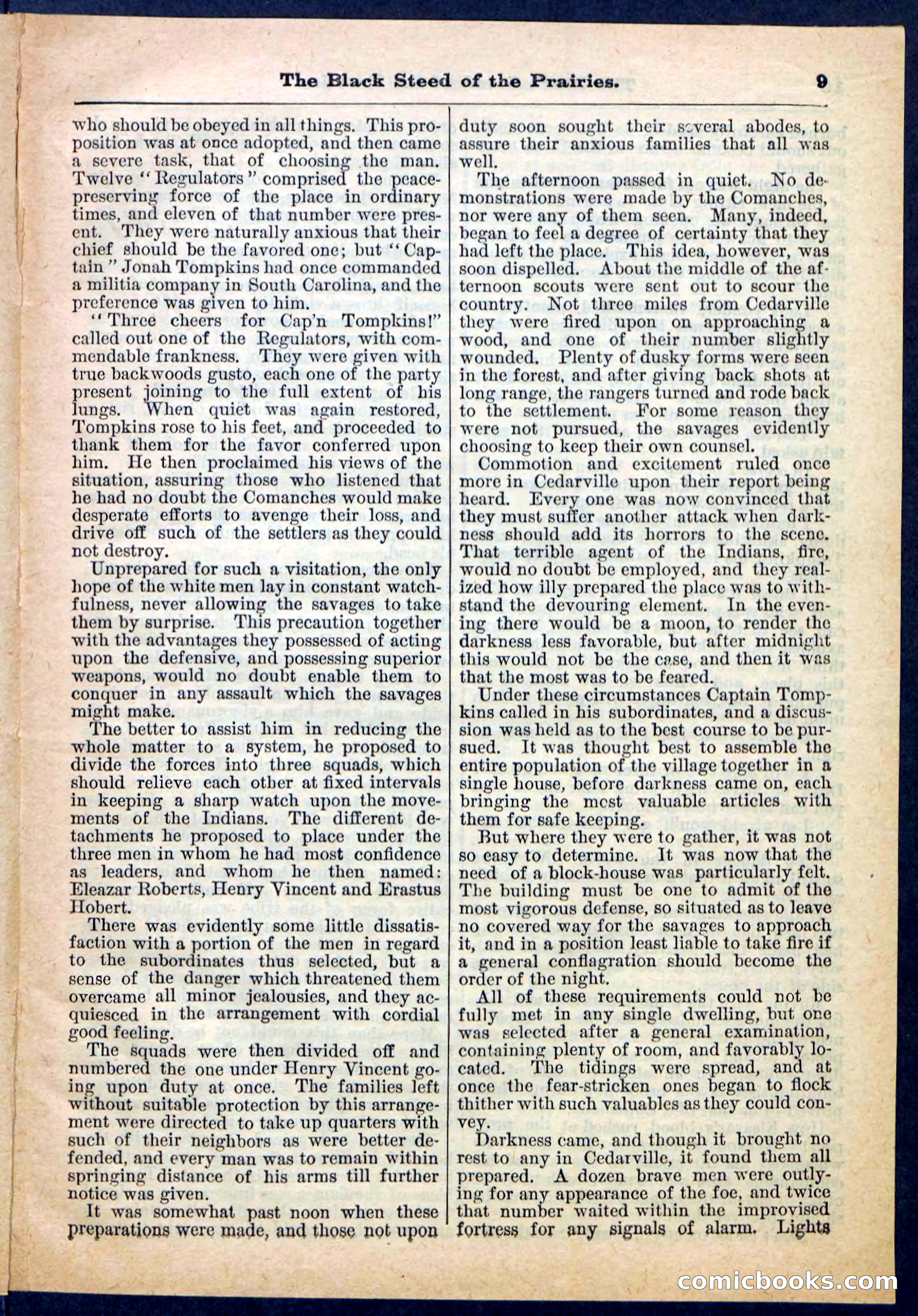 Beadle's Pocket Library, No. 97 — page 9 of 32