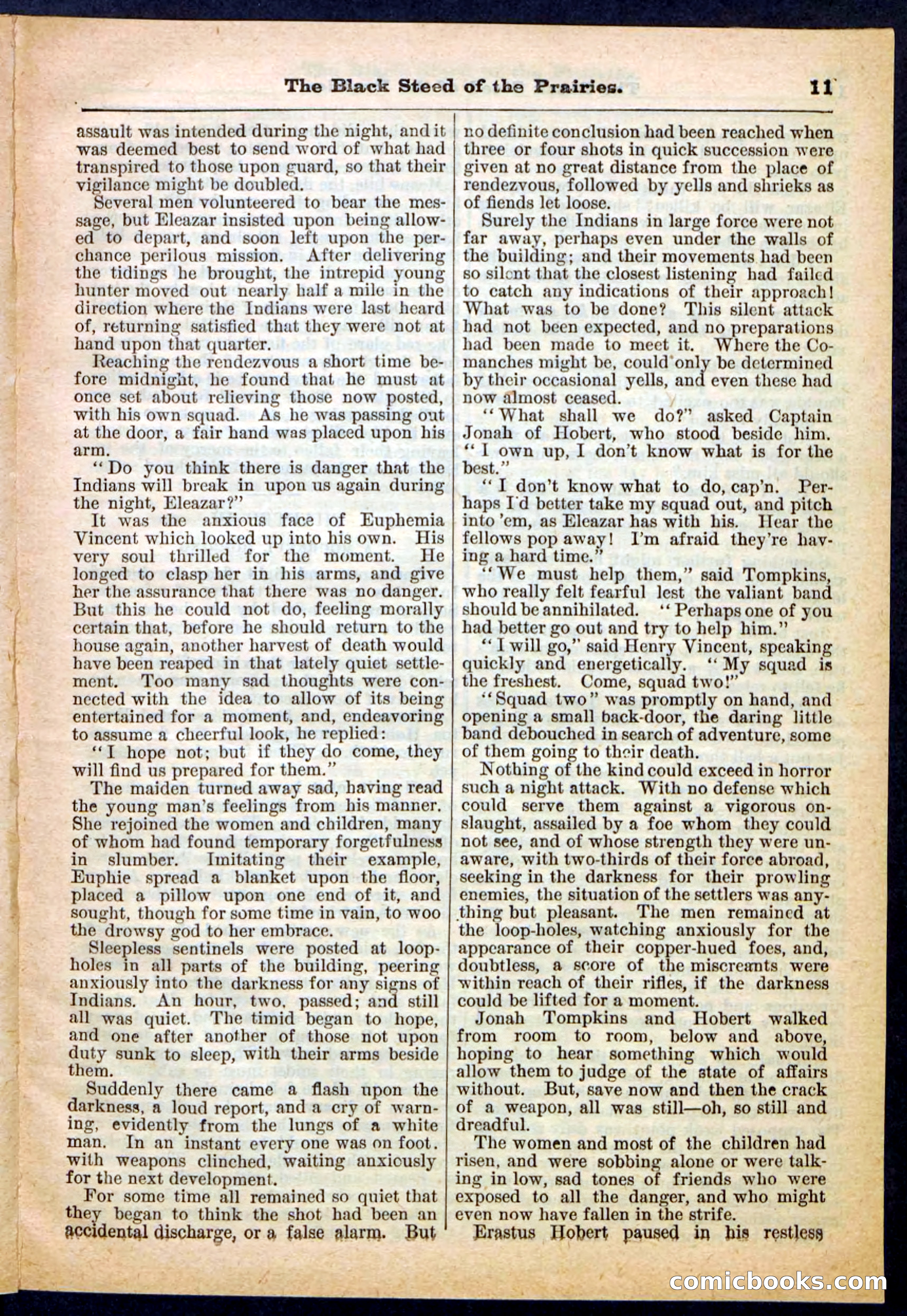 Beadle's Pocket Library, No. 97 — page 11 of 32
