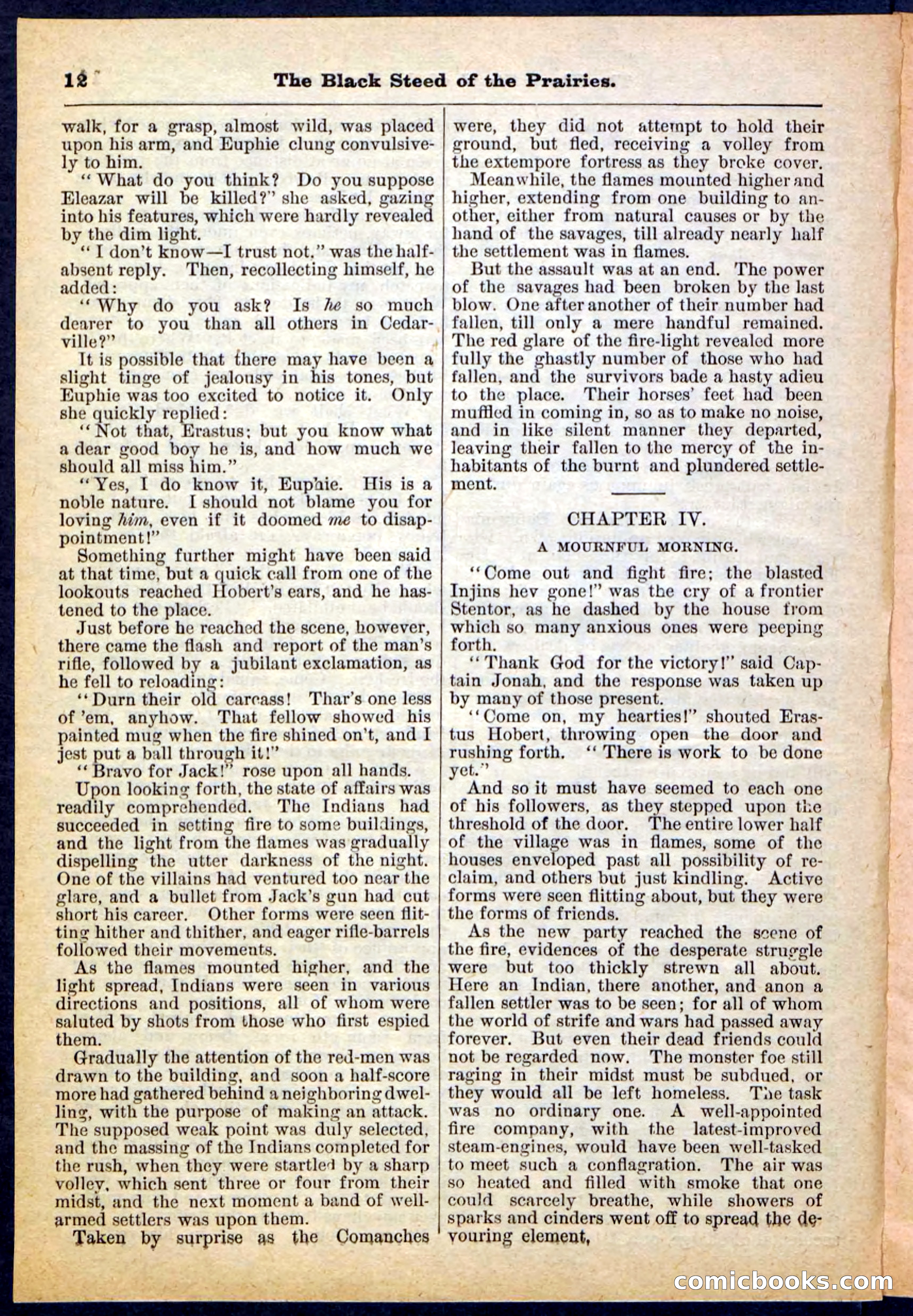 Beadle's Pocket Library, No. 97 — page 12 of 32