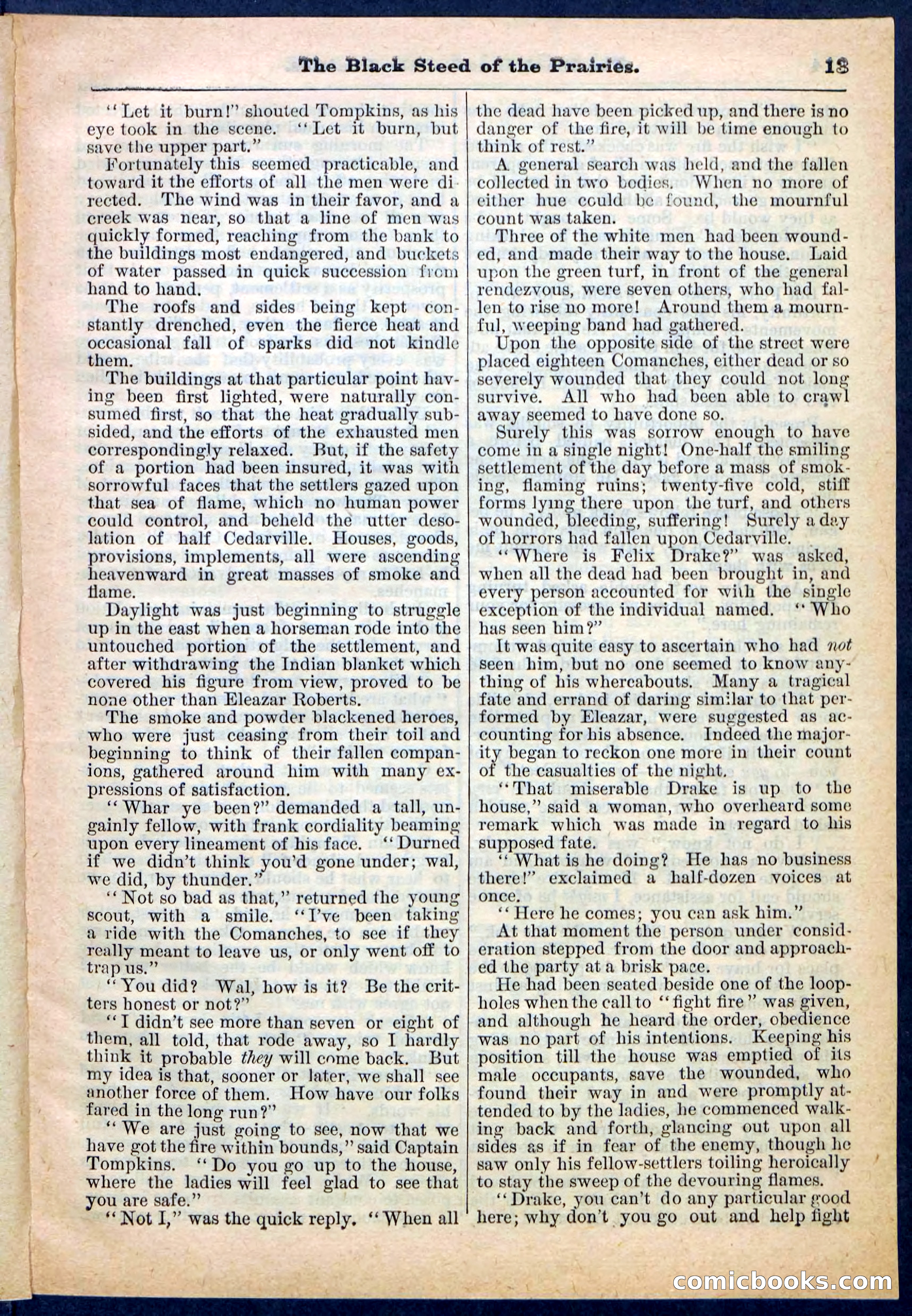 Beadle's Pocket Library, No. 97 — page 13 of 32