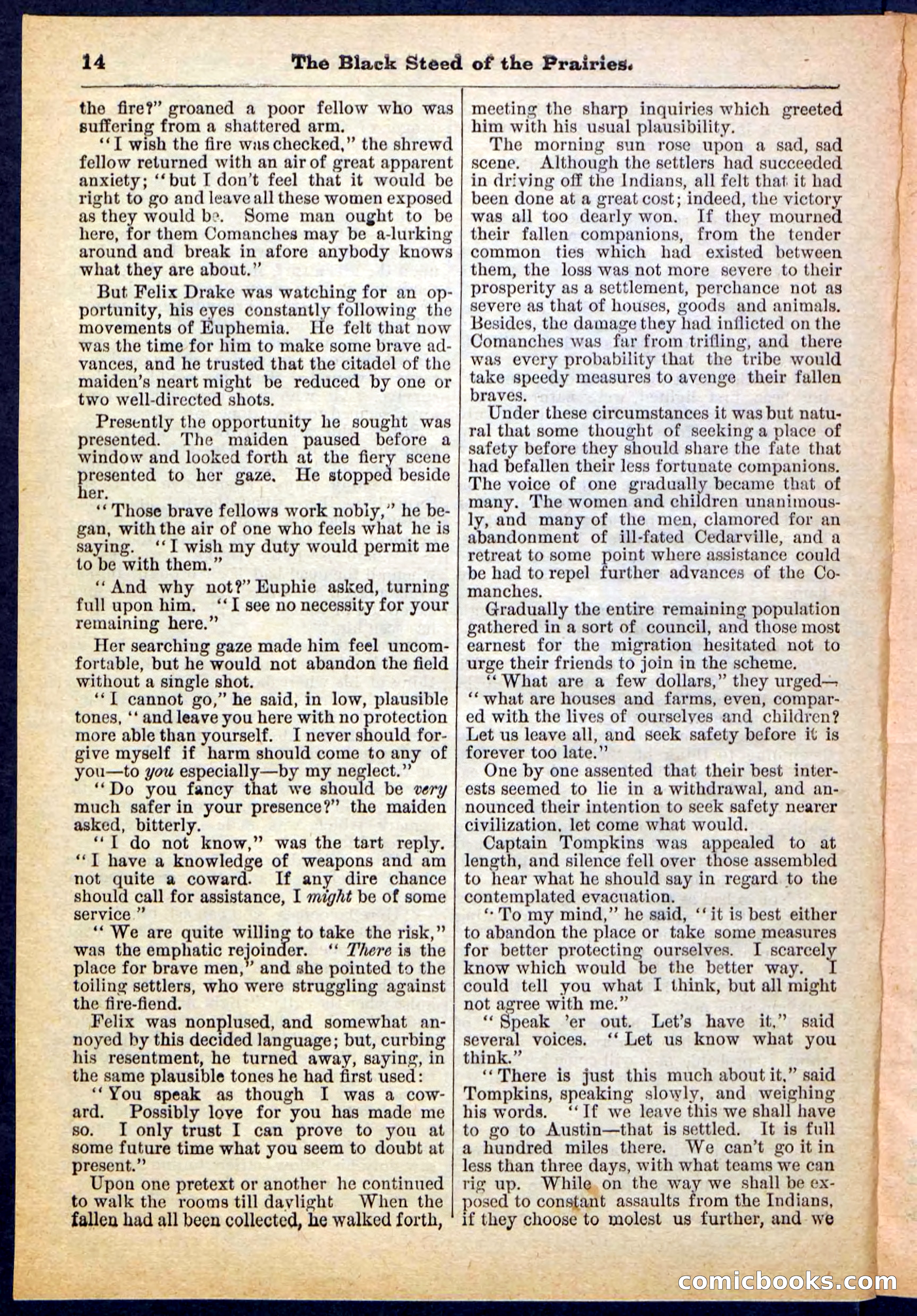 Beadle's Pocket Library, No. 97 — page 14 of 32