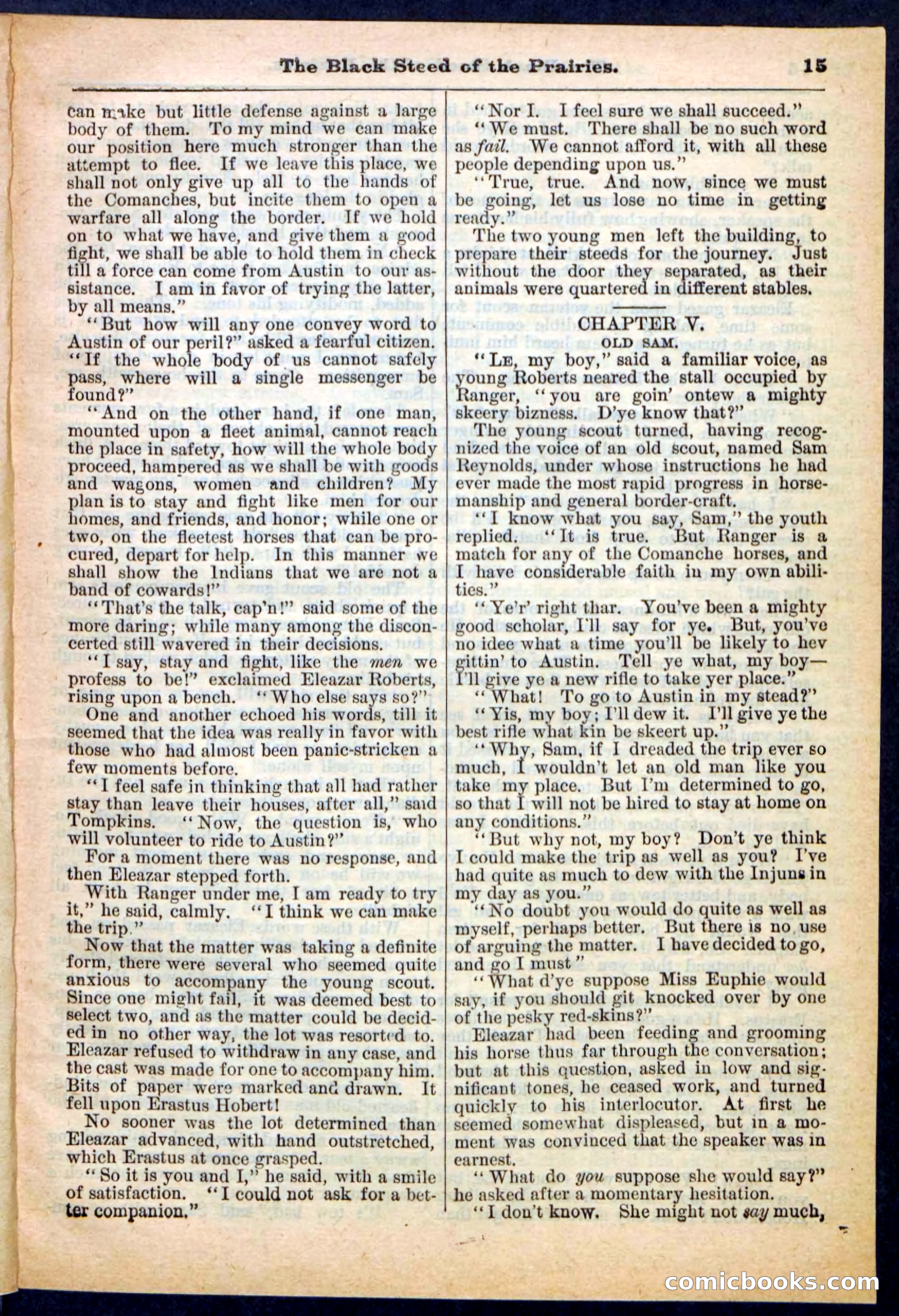 Beadle's Pocket Library, No. 97 — page 15 of 32