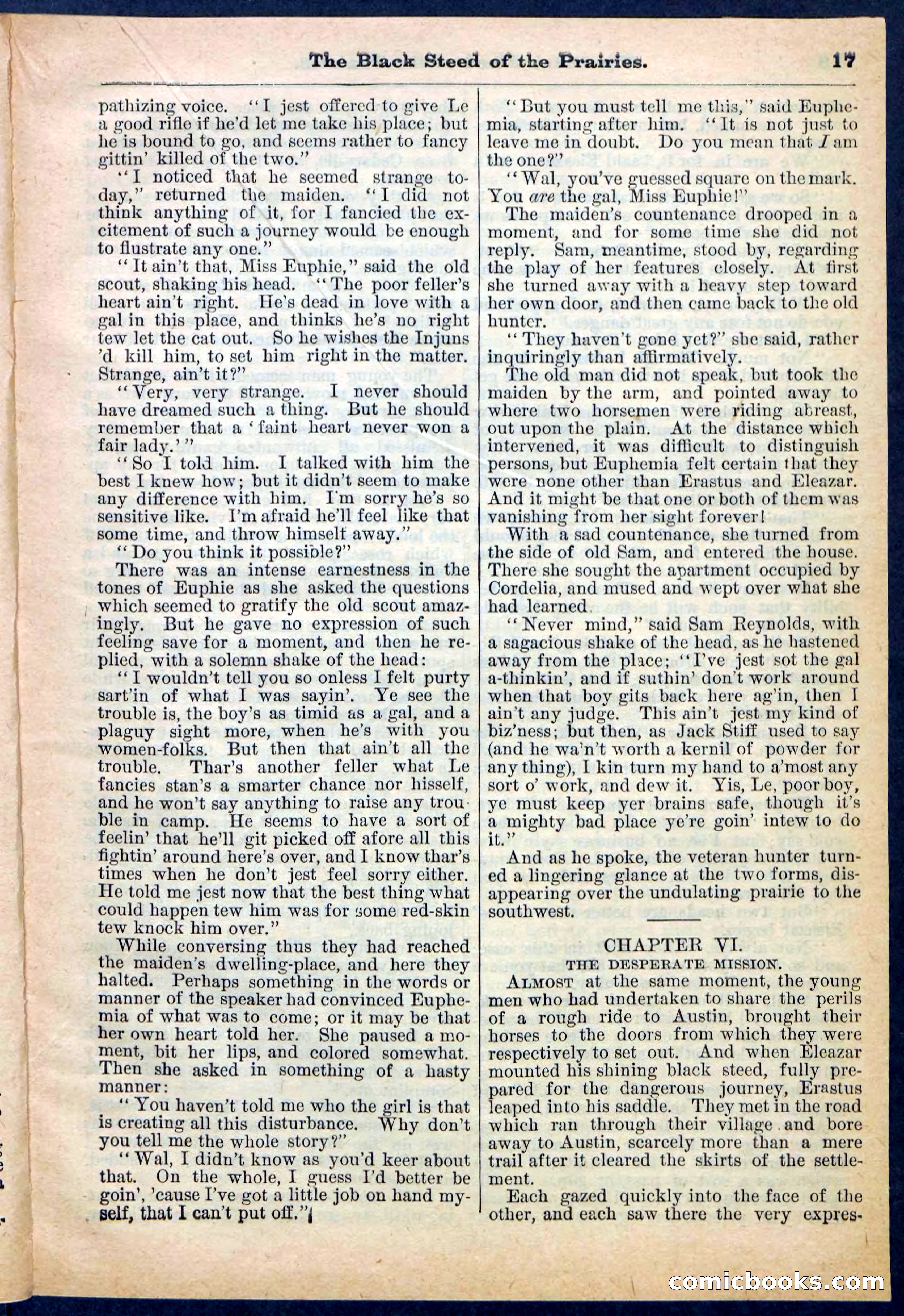 Beadle's Pocket Library, No. 97 — page 17 of 32