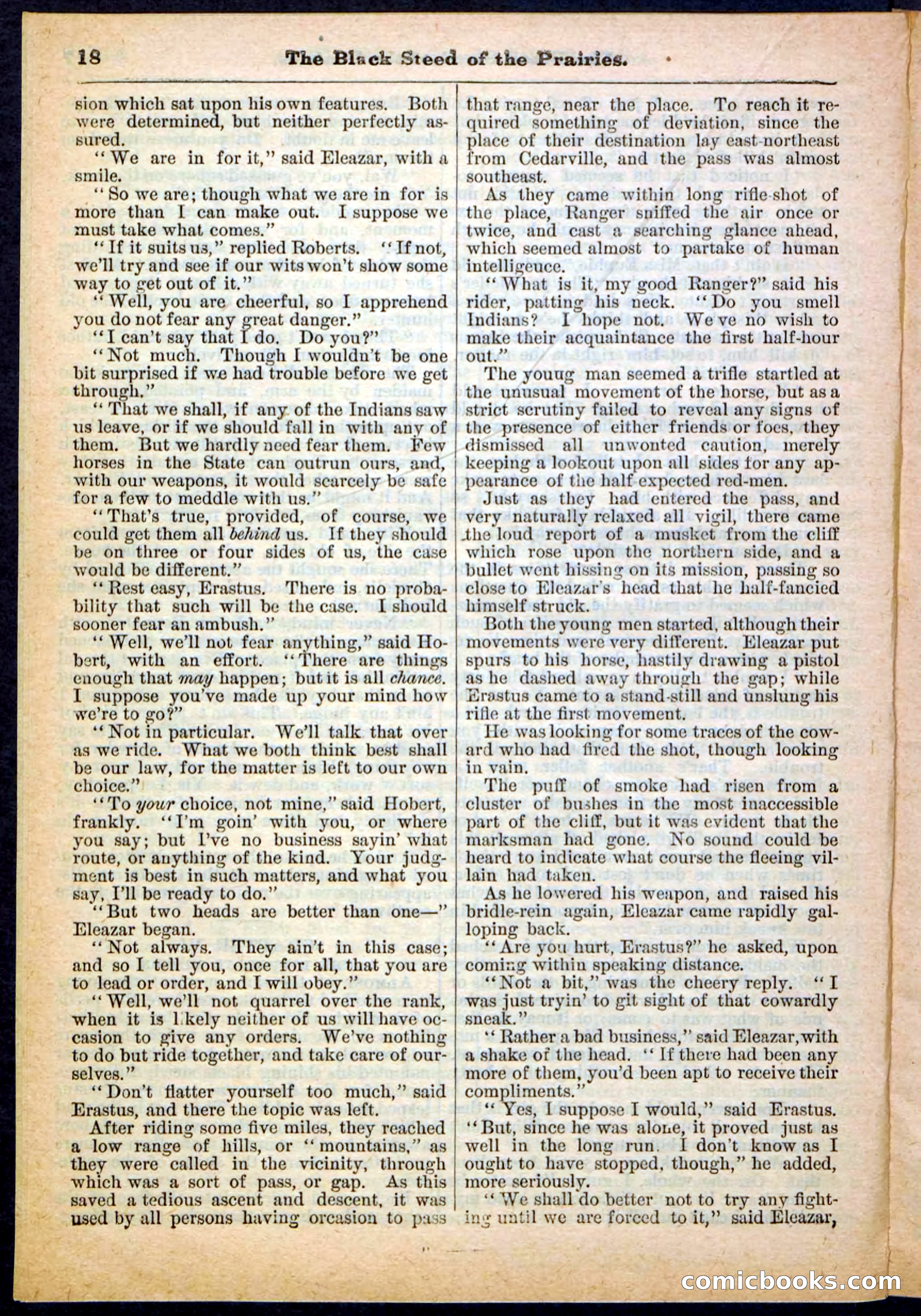 Beadle's Pocket Library, No. 97 — page 18 of 32