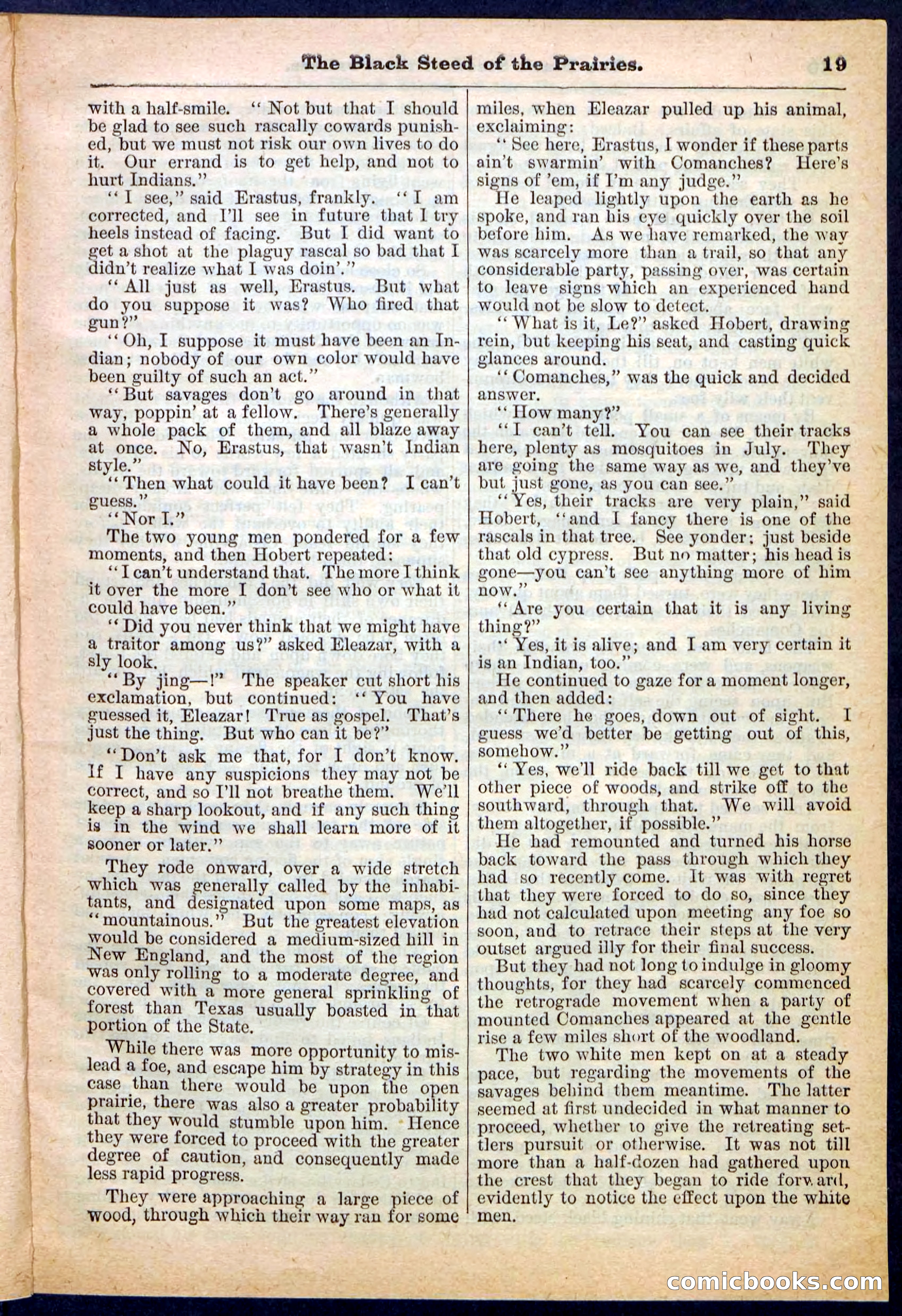 Beadle's Pocket Library, No. 97 — page 19 of 32