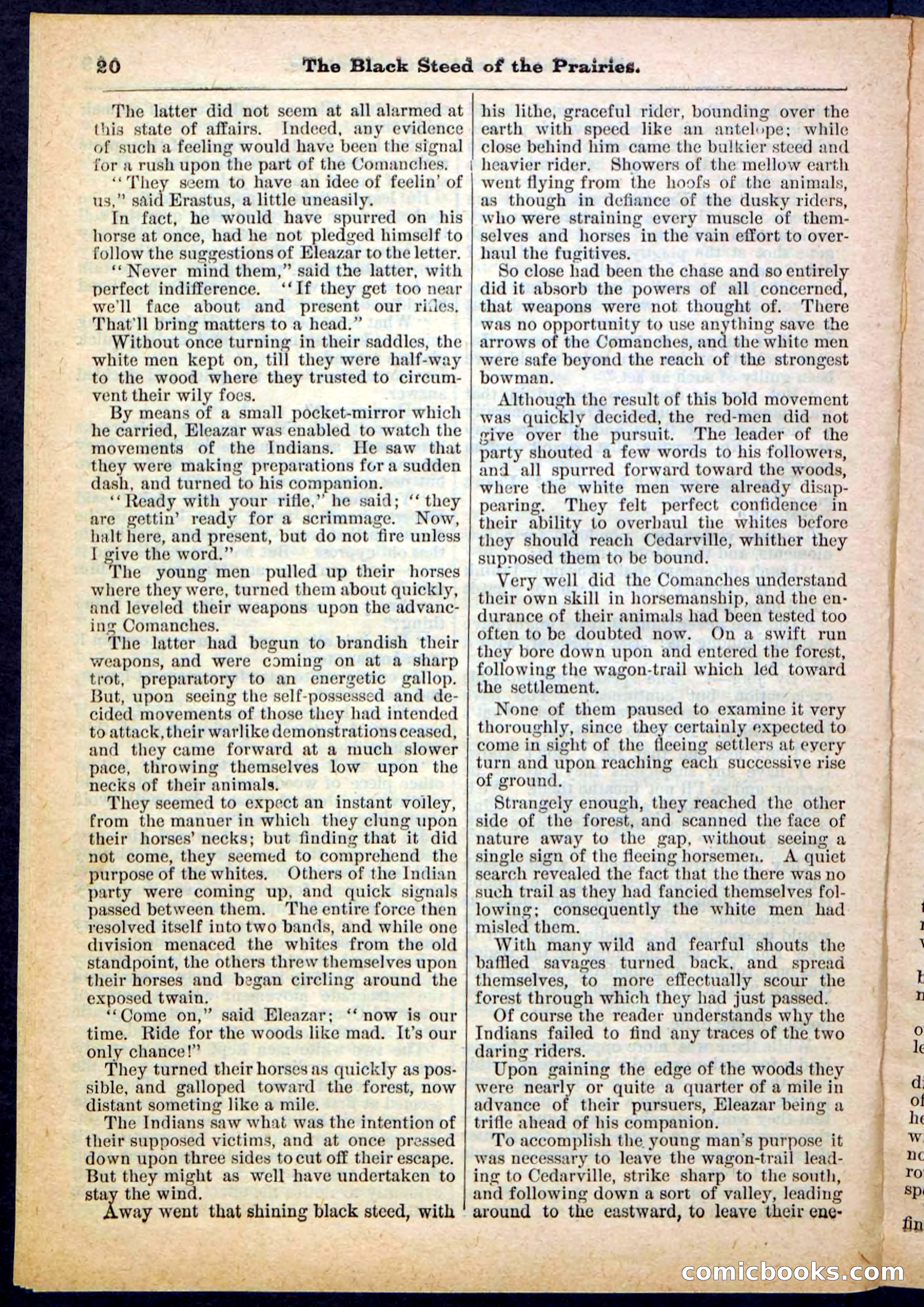 Beadle's Pocket Library, No. 97 — page 20 of 32