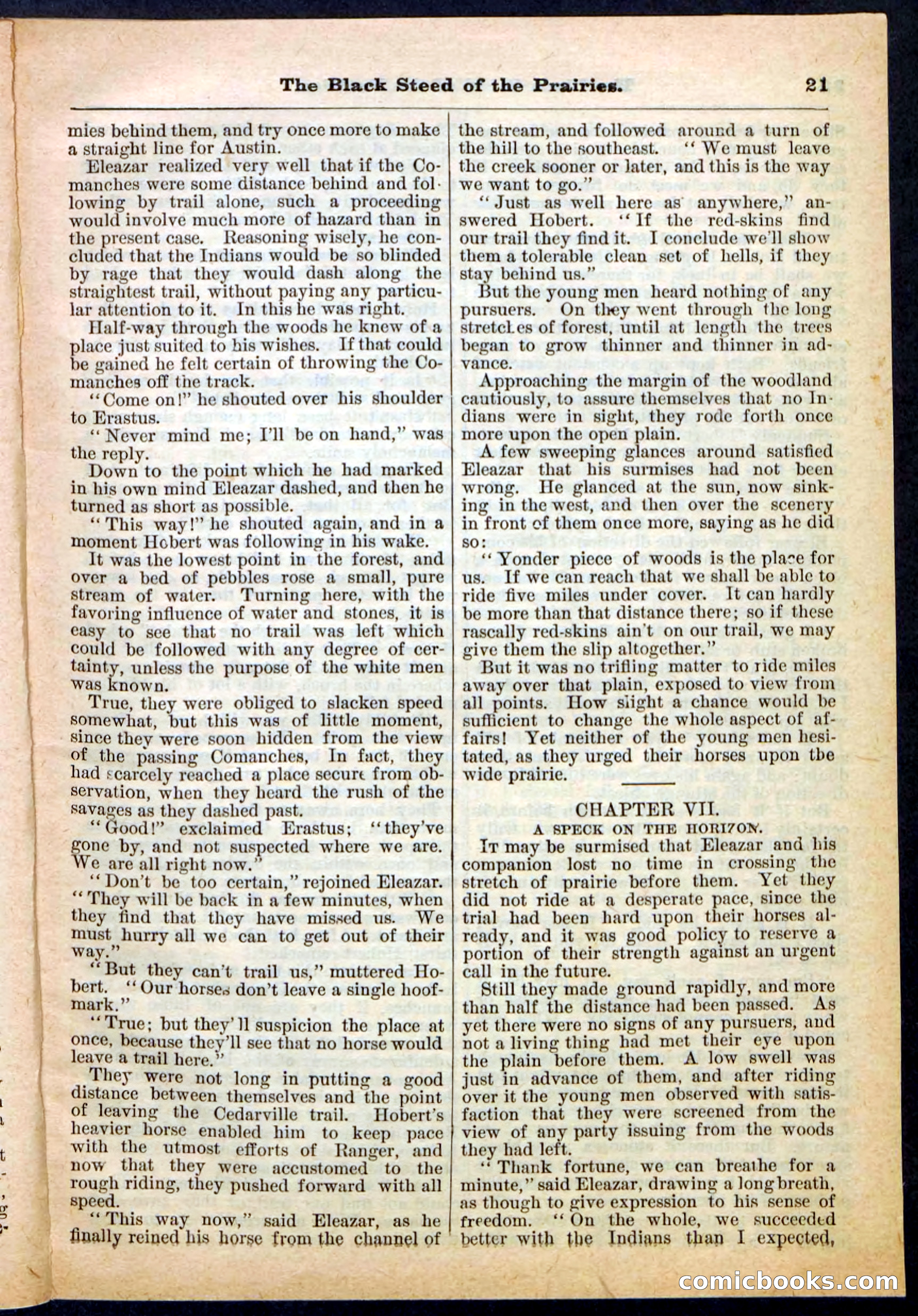 Beadle's Pocket Library, No. 97 — page 21 of 32