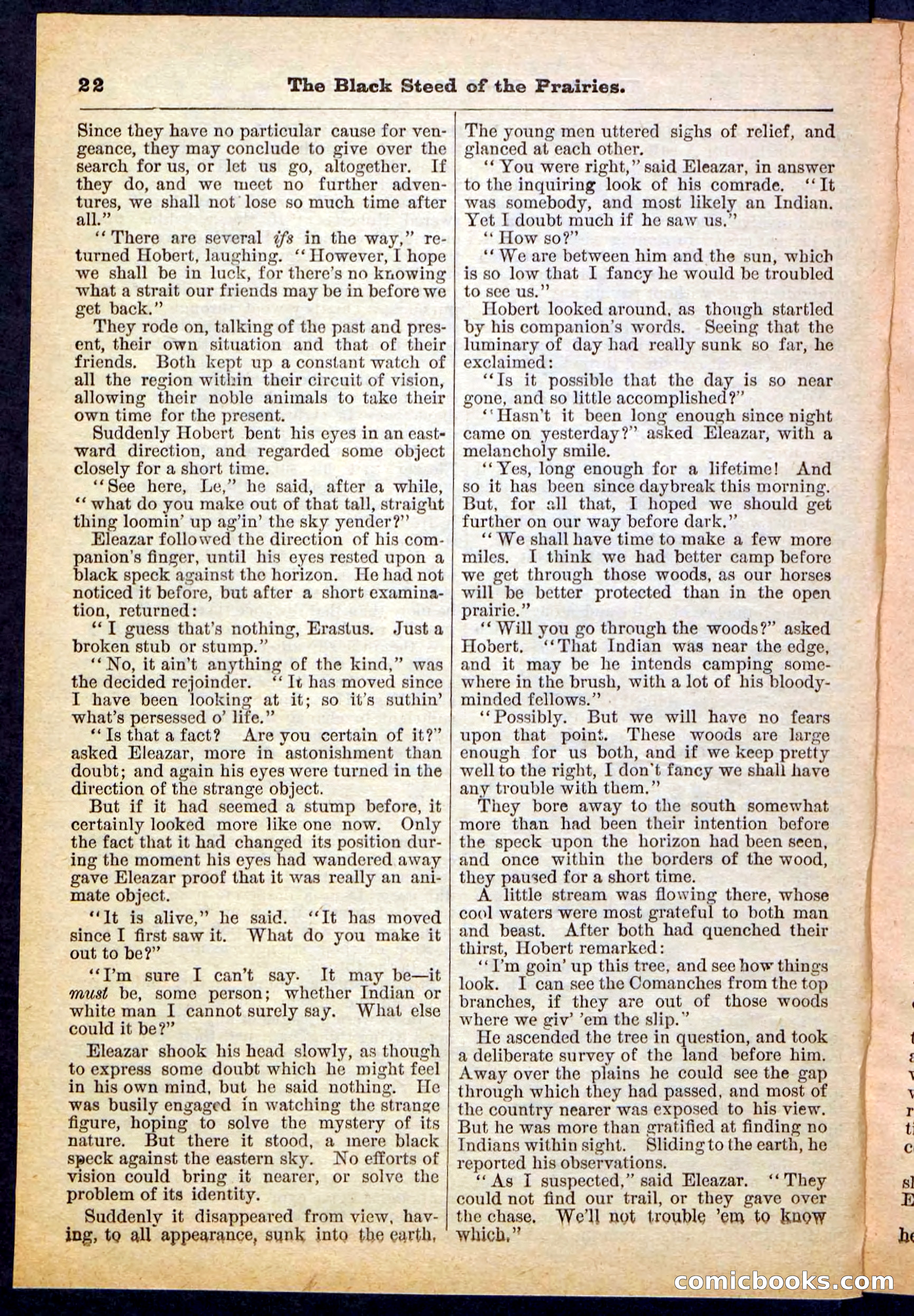 Beadle's Pocket Library, No. 97 — page 22 of 32