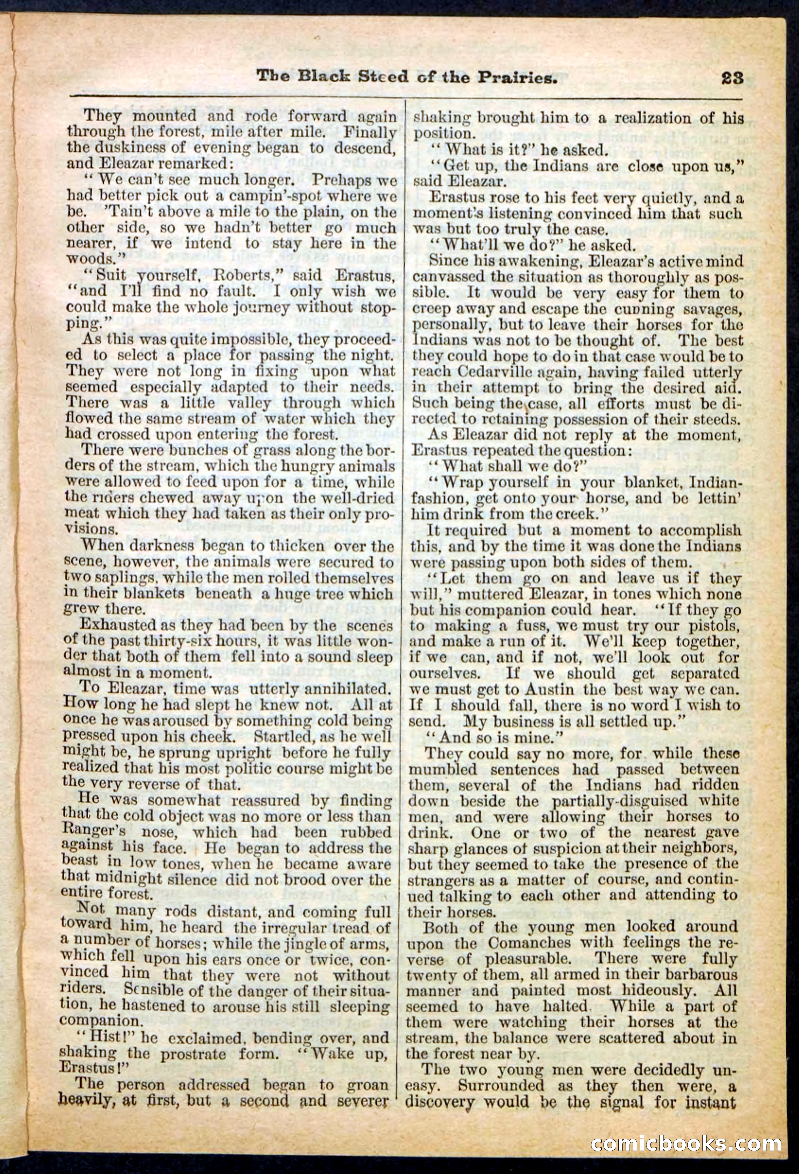 Beadle's Pocket Library, No. 97 — page 23 of 32