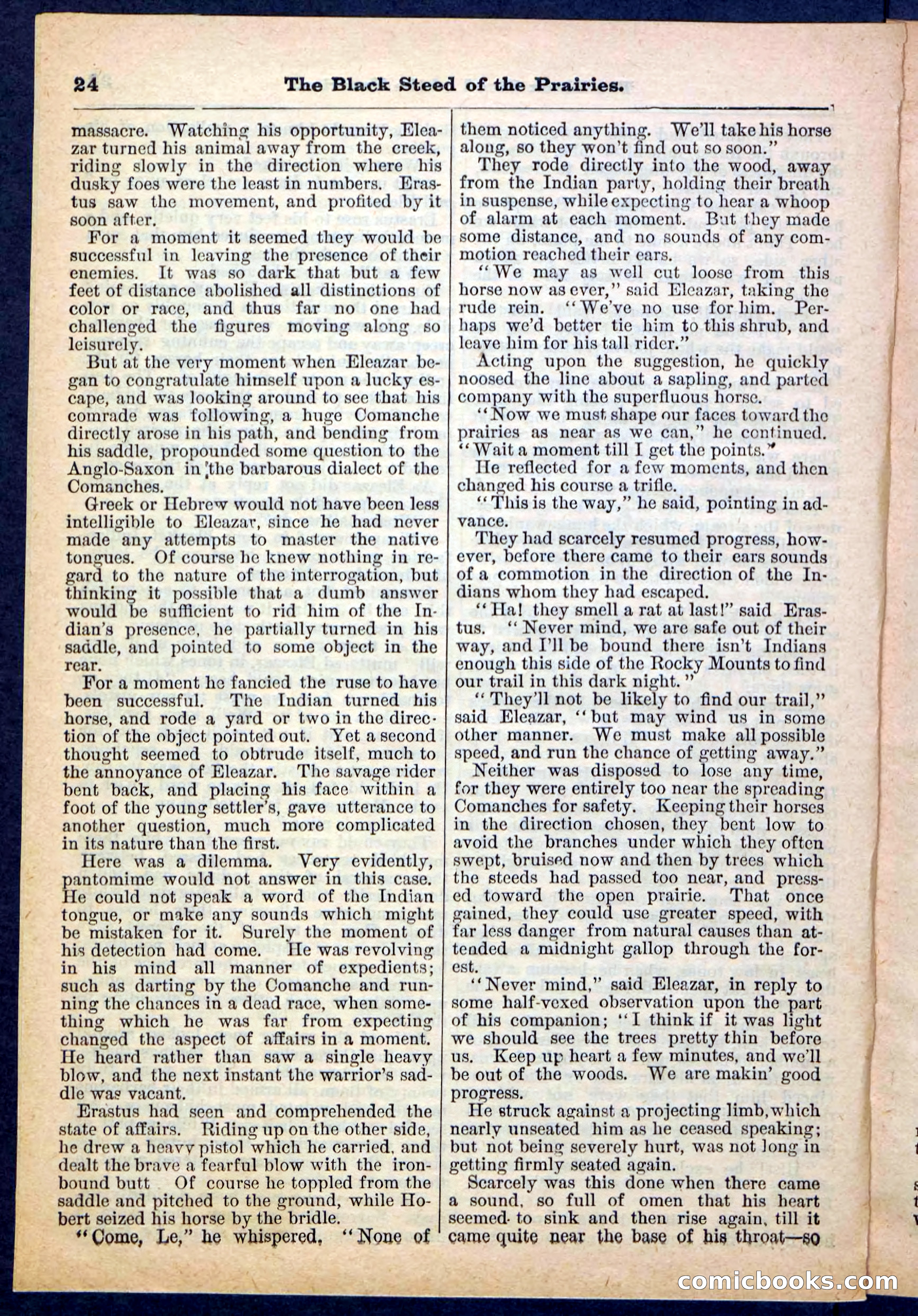 Beadle's Pocket Library, No. 97 — page 24 of 32