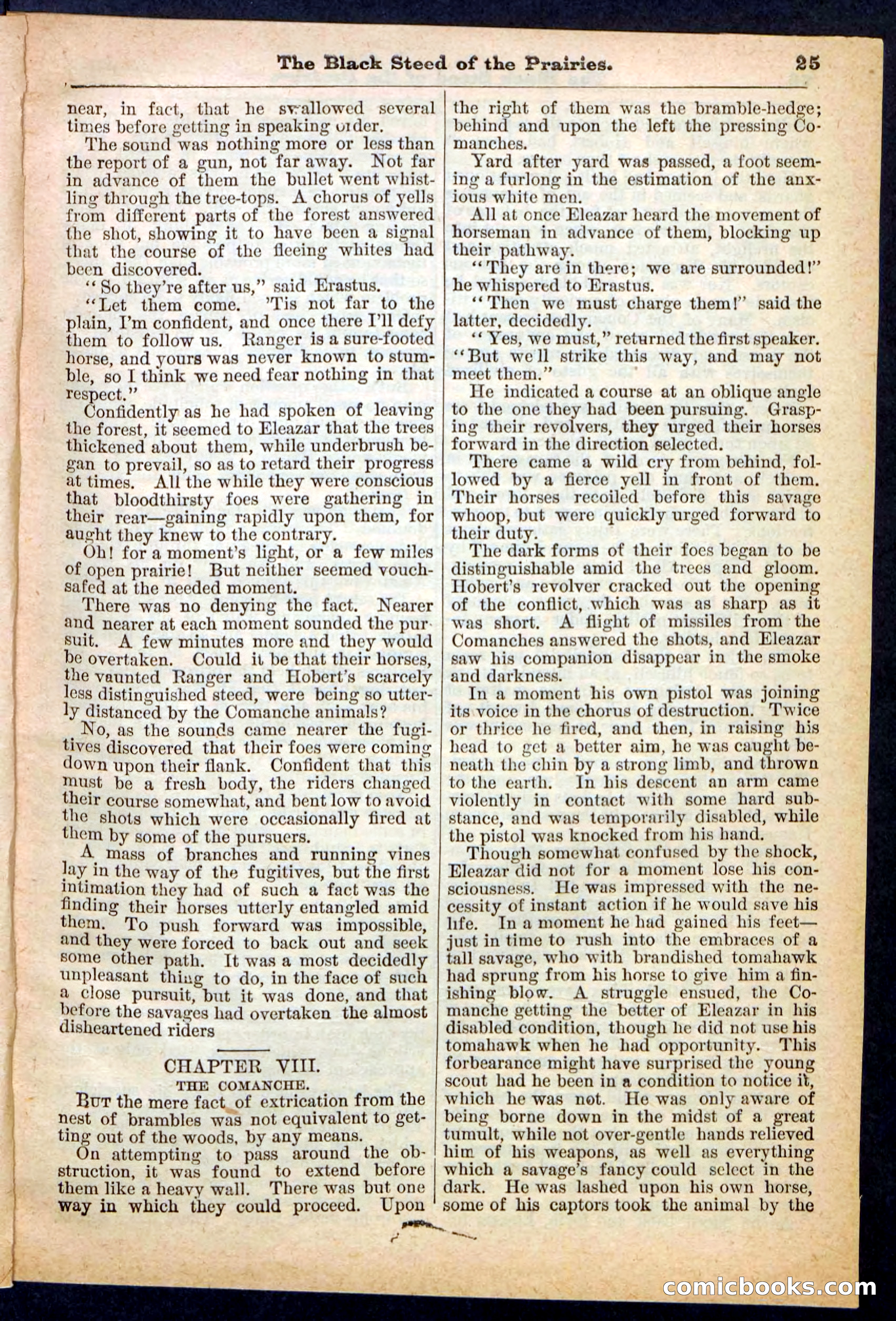 Beadle's Pocket Library, No. 97 — page 25 of 32