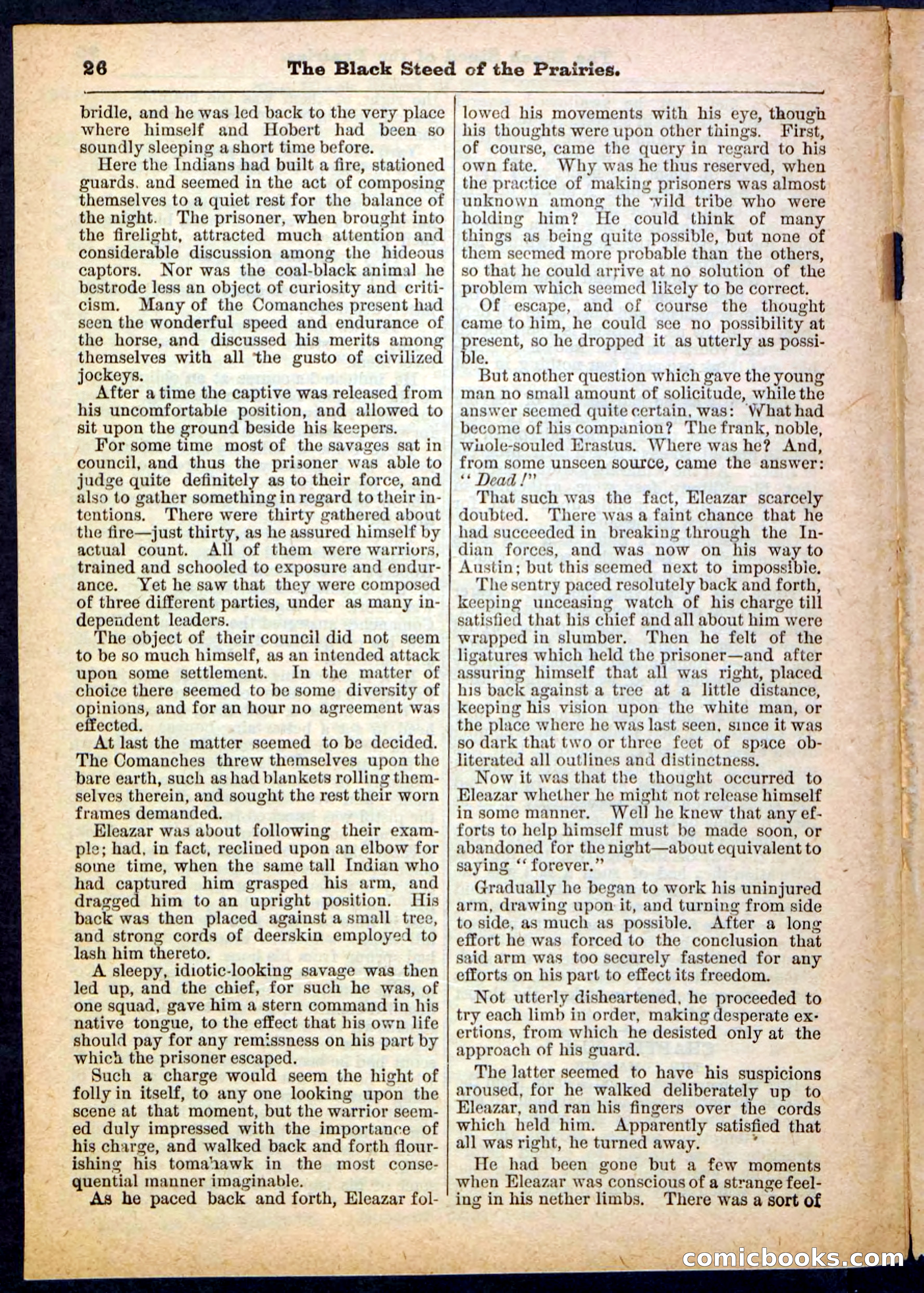 Beadle's Pocket Library, No. 97 — page 26 of 32
