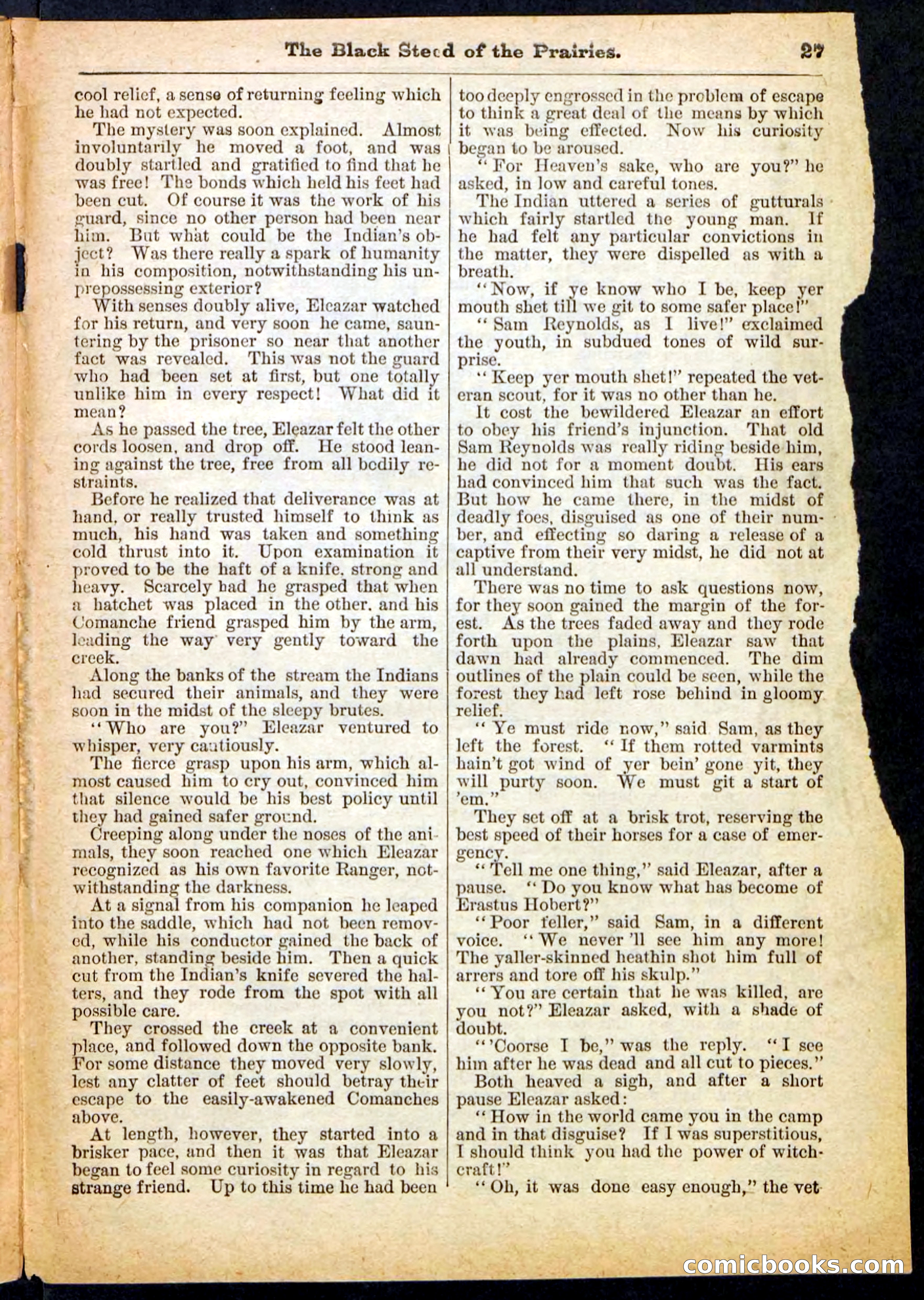 Beadle's Pocket Library, No. 97 — page 27 of 32