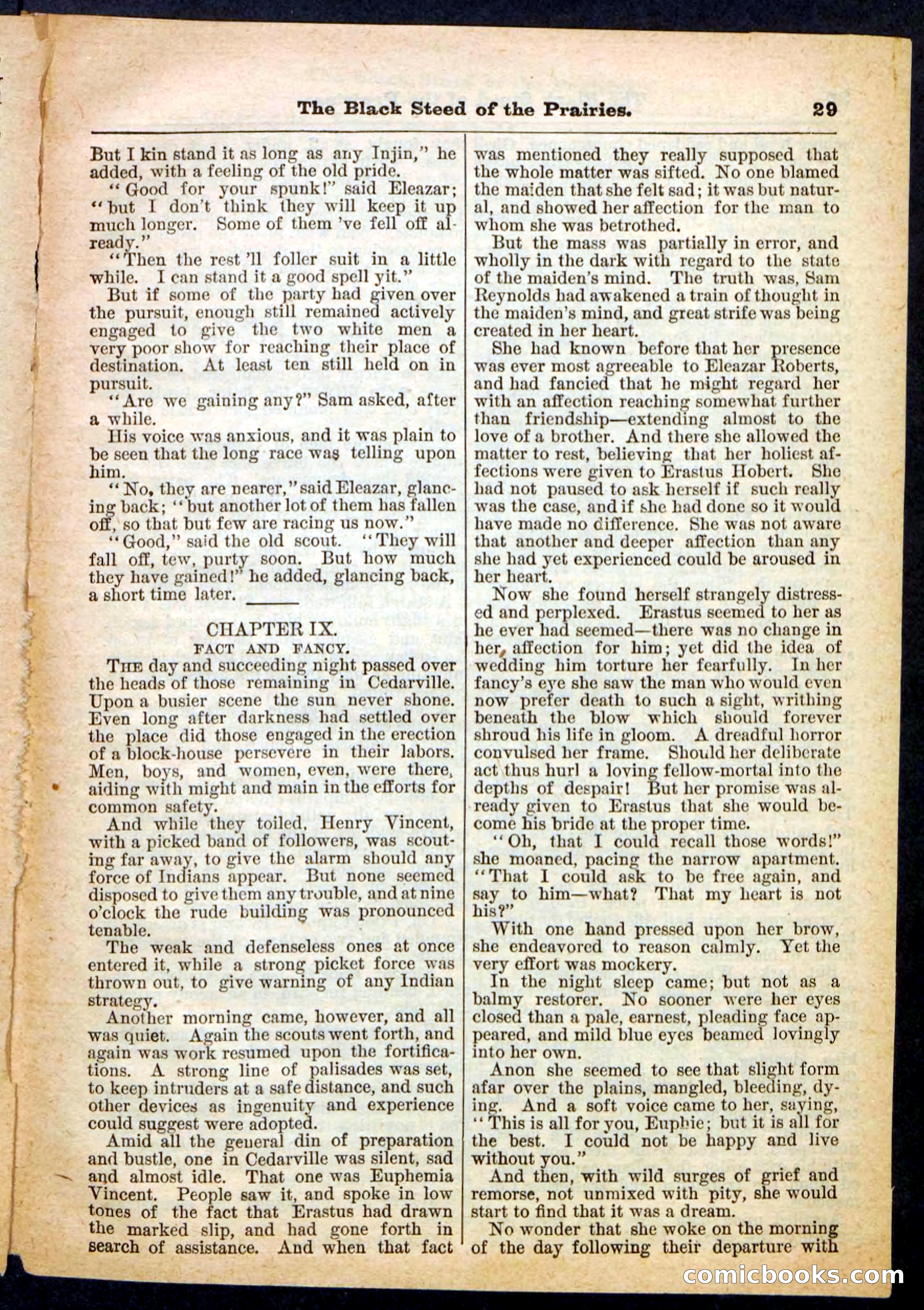 Beadle's Pocket Library, No. 97 — page 29 of 32