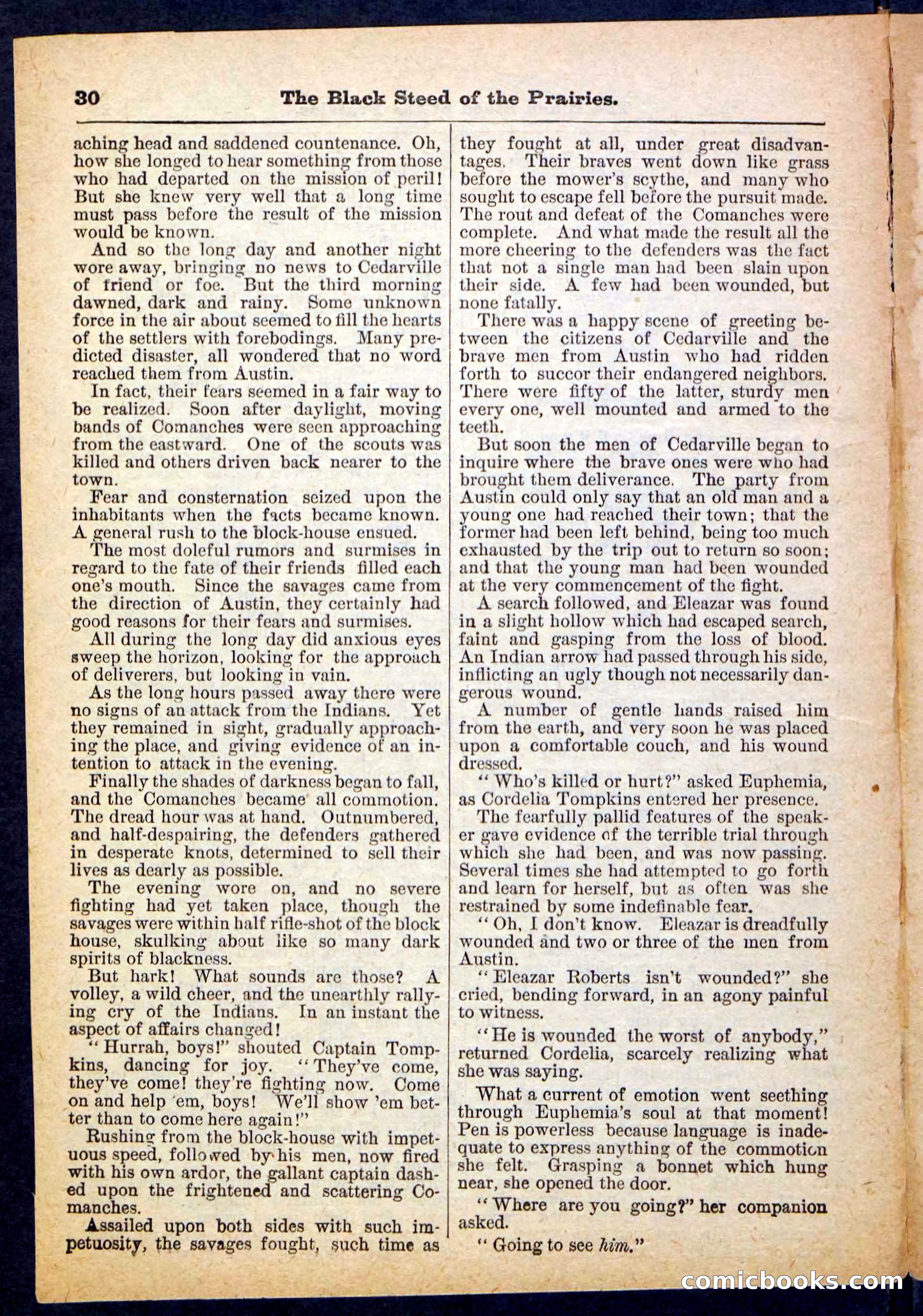 Beadle's Pocket Library, No. 97 — page 30 of 32