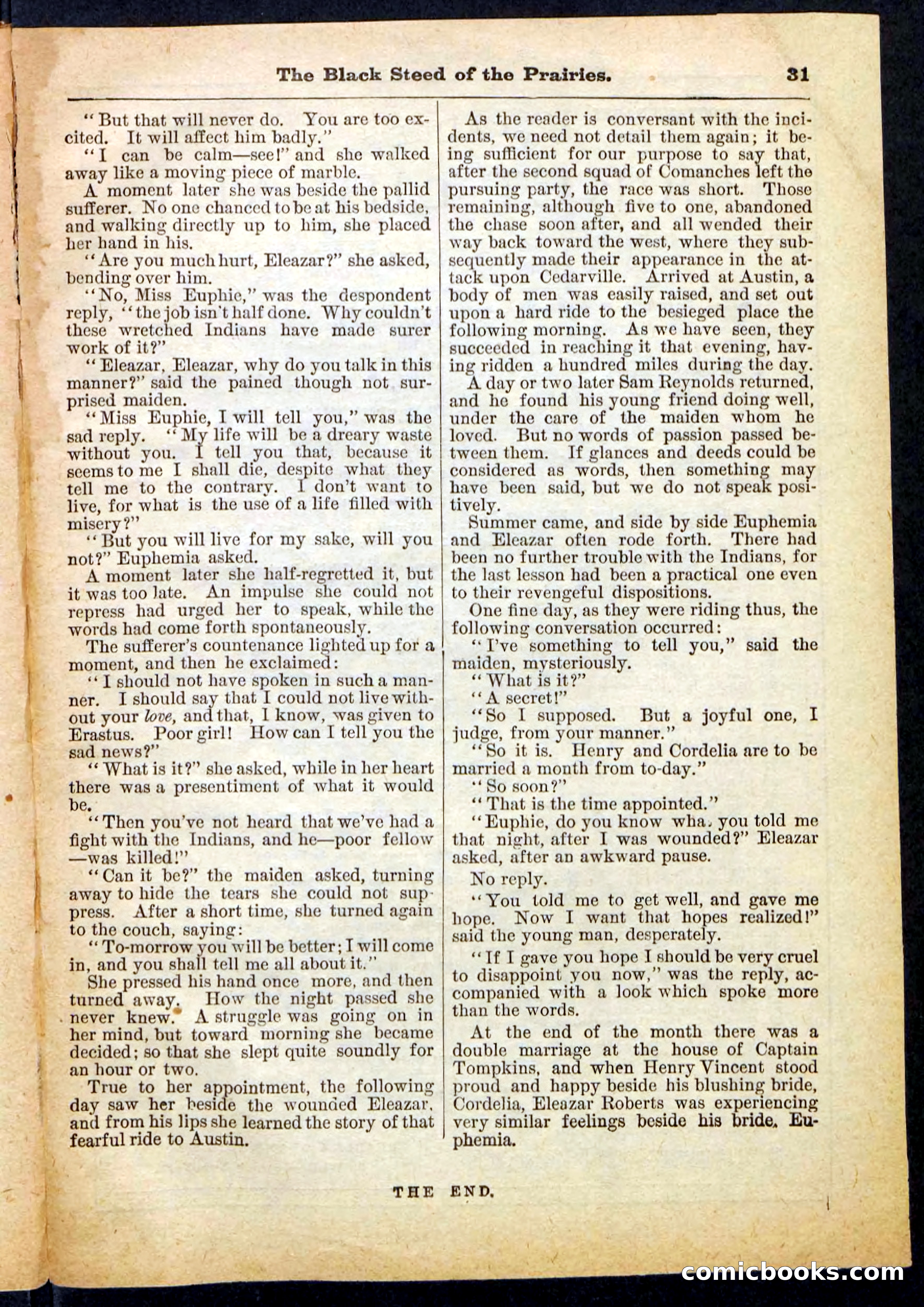 Beadle's Pocket Library, No. 97 — page 31 of 32