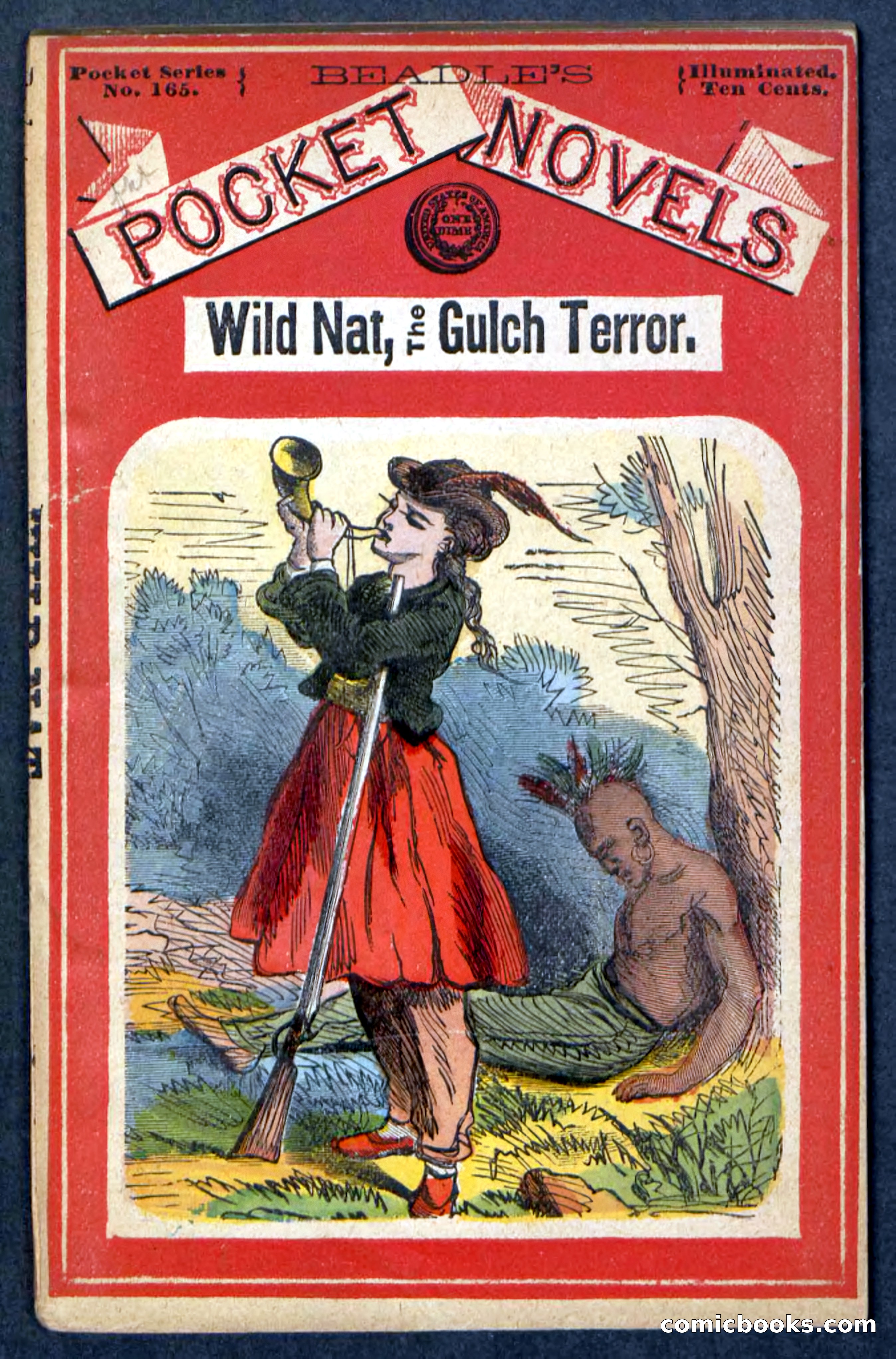 Beadle's Pocket Novels No. 165: Wild Nat, the Gulch Terror