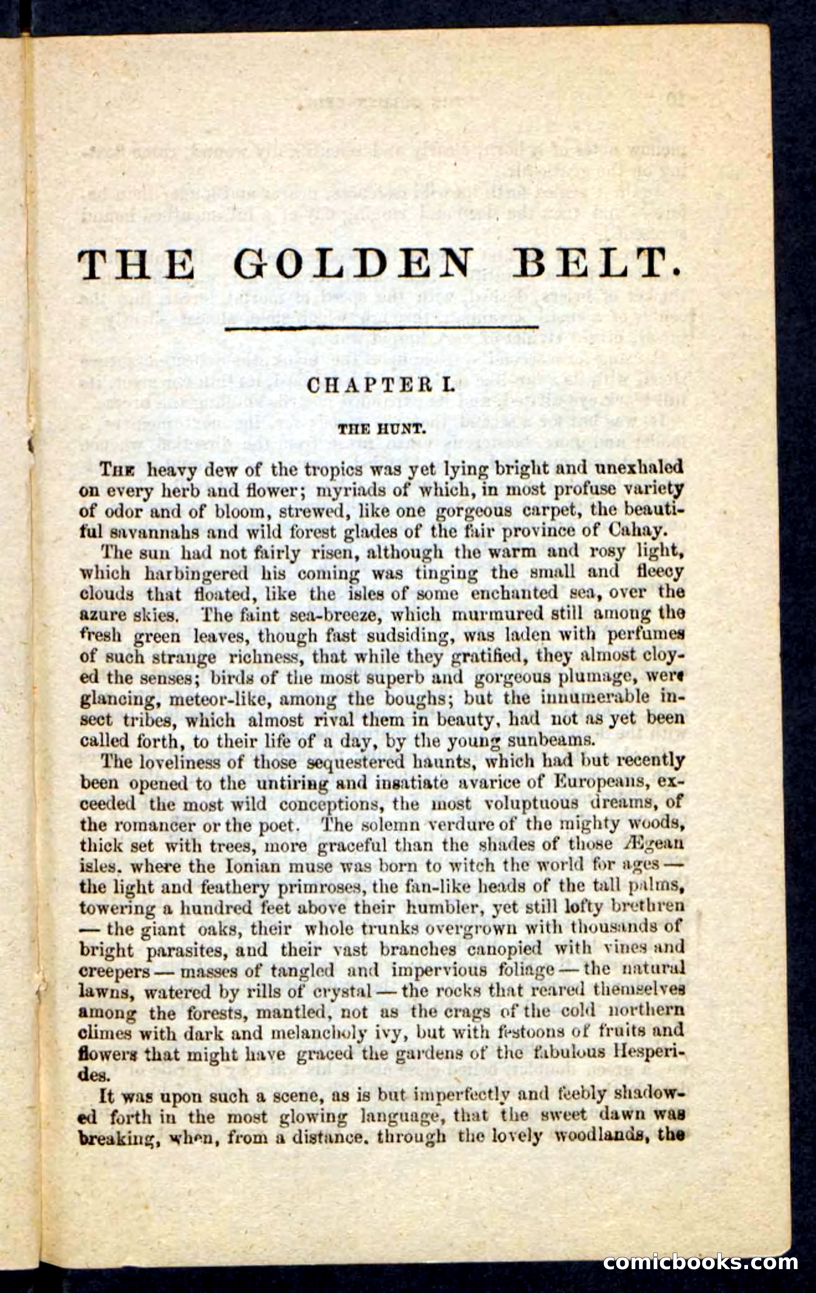 Beadle's Pocket Novels No. 230: The Golden Belt — page 5 of 100