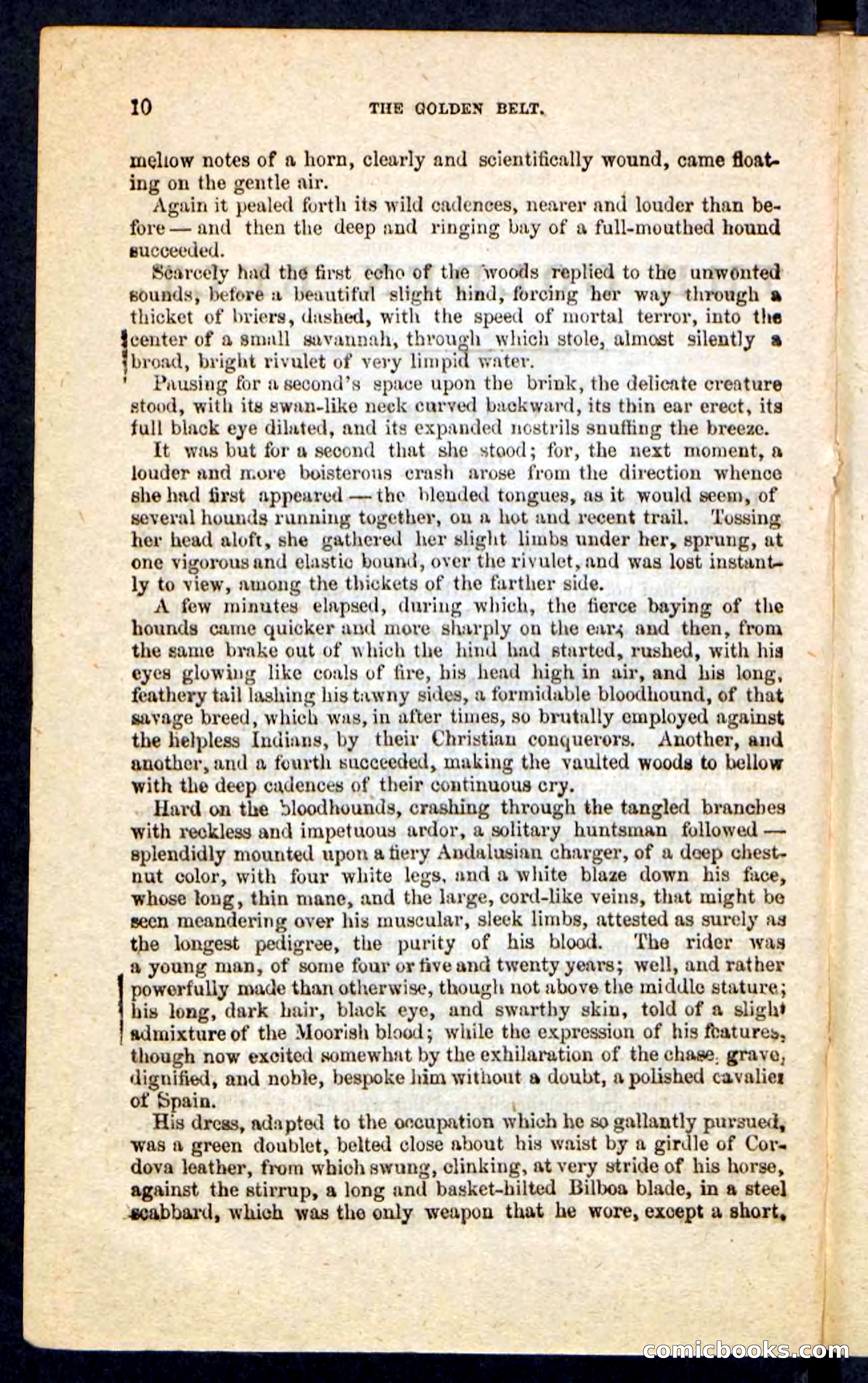 Beadle's Pocket Novels No. 230: The Golden Belt — page 6 of 100
