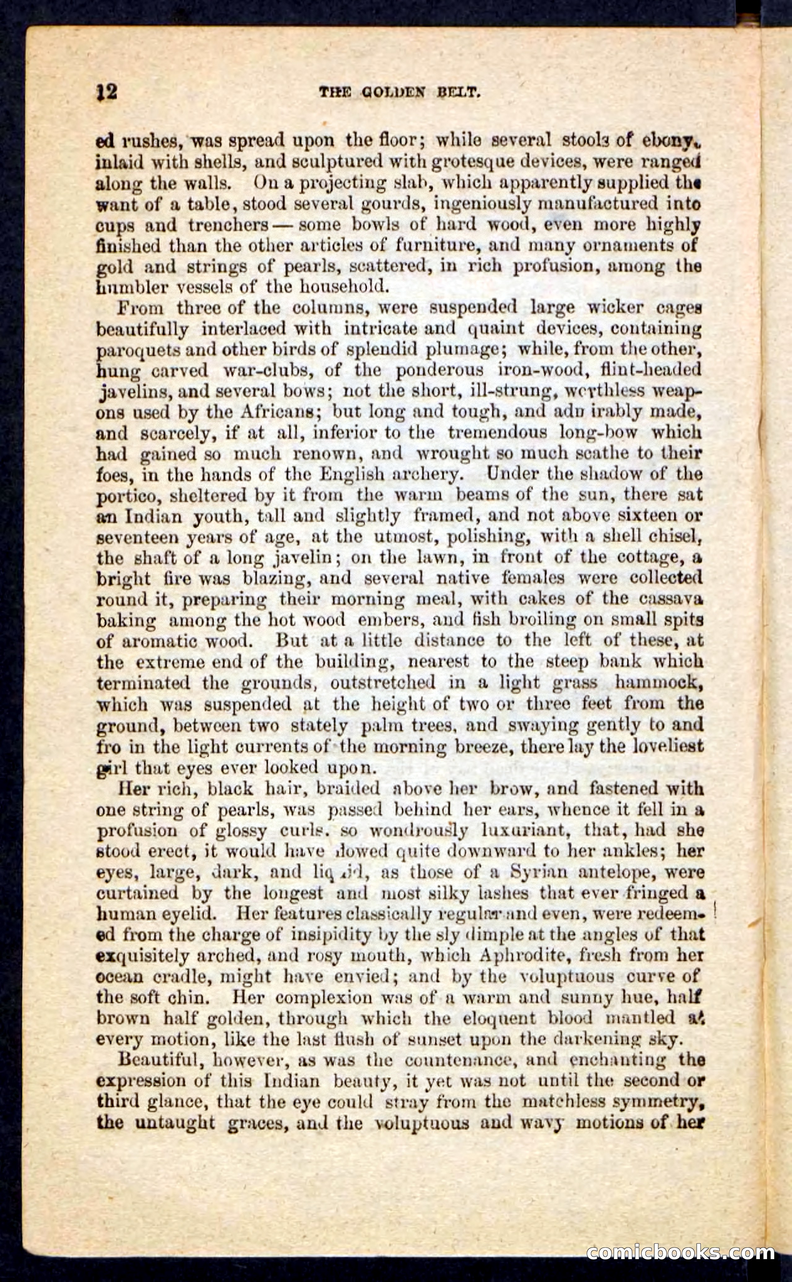 Beadle's Pocket Novels No. 230: The Golden Belt — page 8 of 100