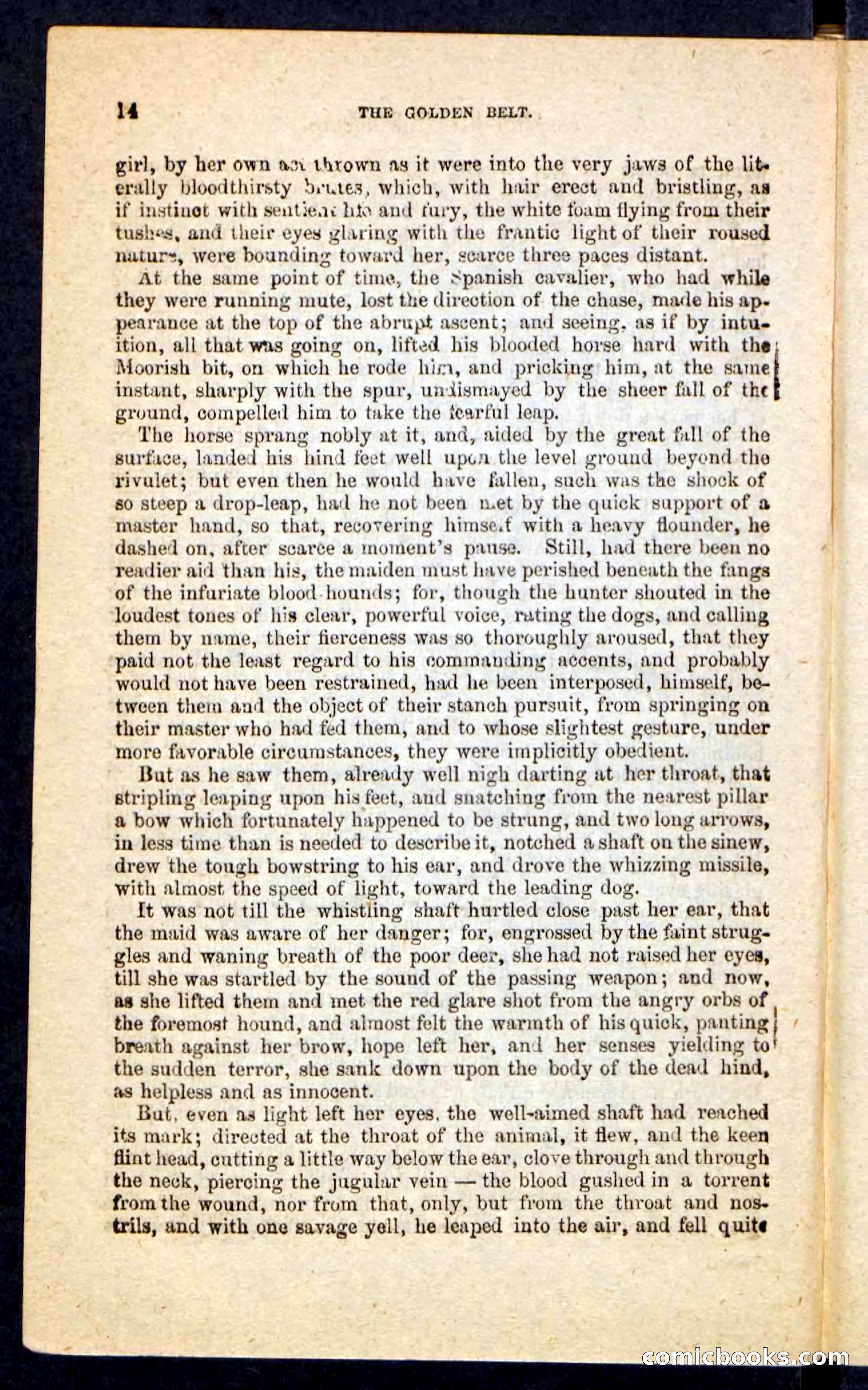 Beadle's Pocket Novels No. 230: The Golden Belt — page 10 of 100