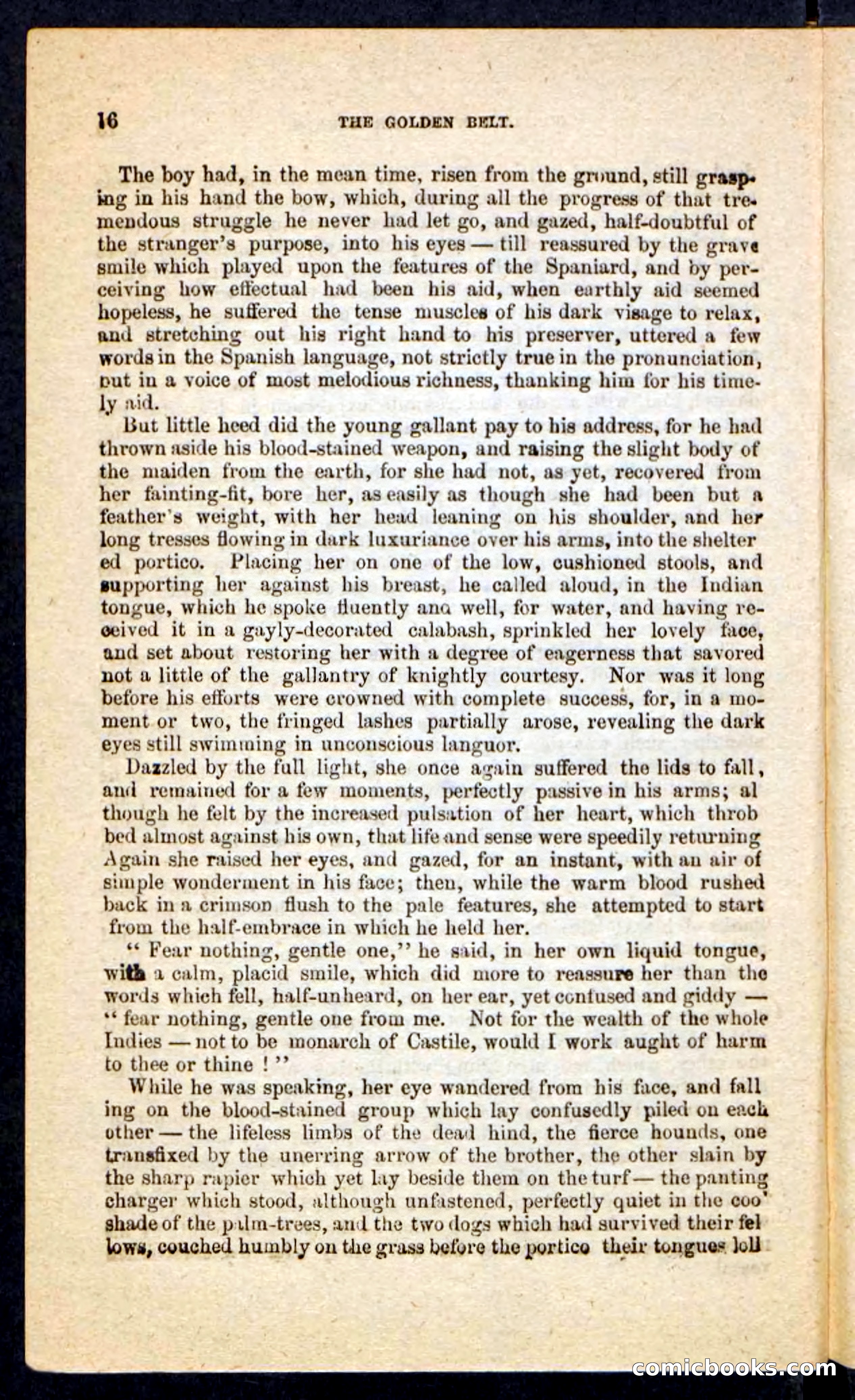 Beadle's Pocket Novels No. 230: The Golden Belt — page 12 of 100