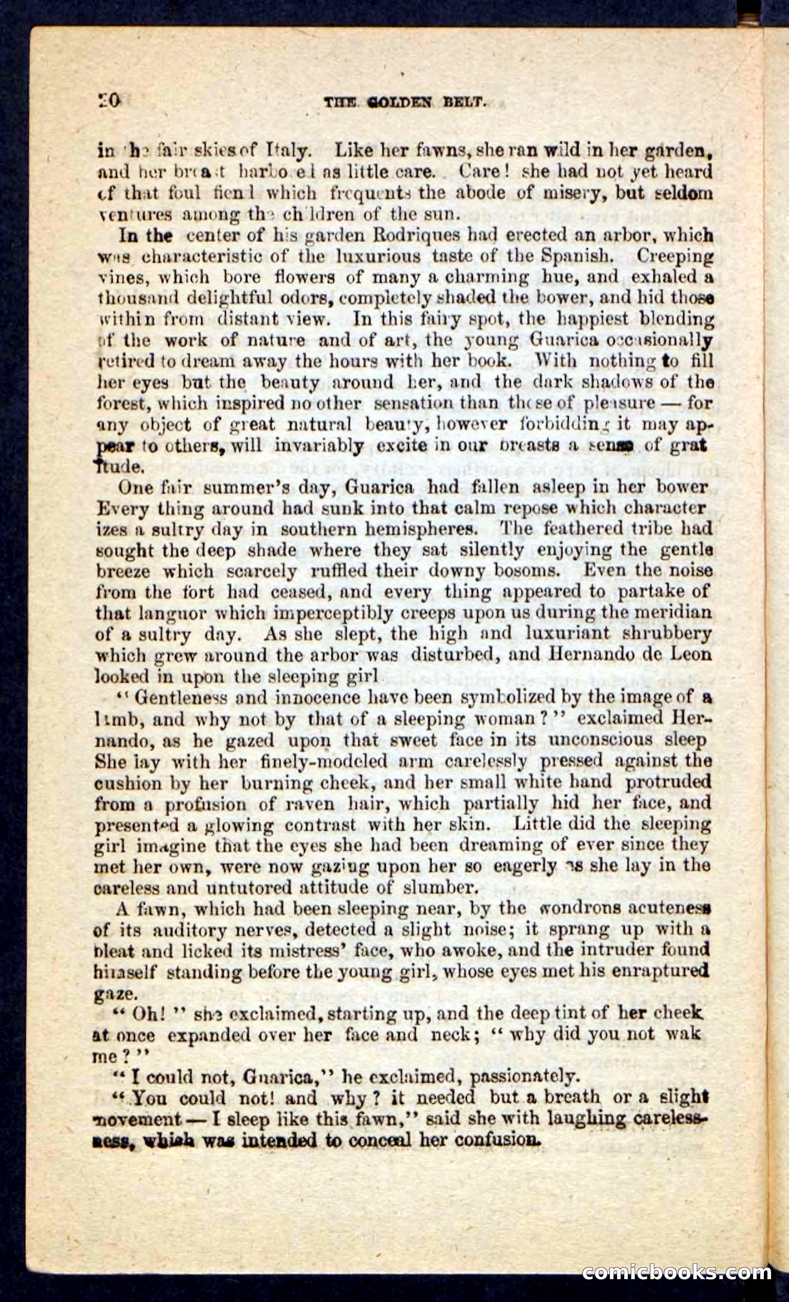 Beadle's Pocket Novels No. 230: The Golden Belt — page 16 of 100