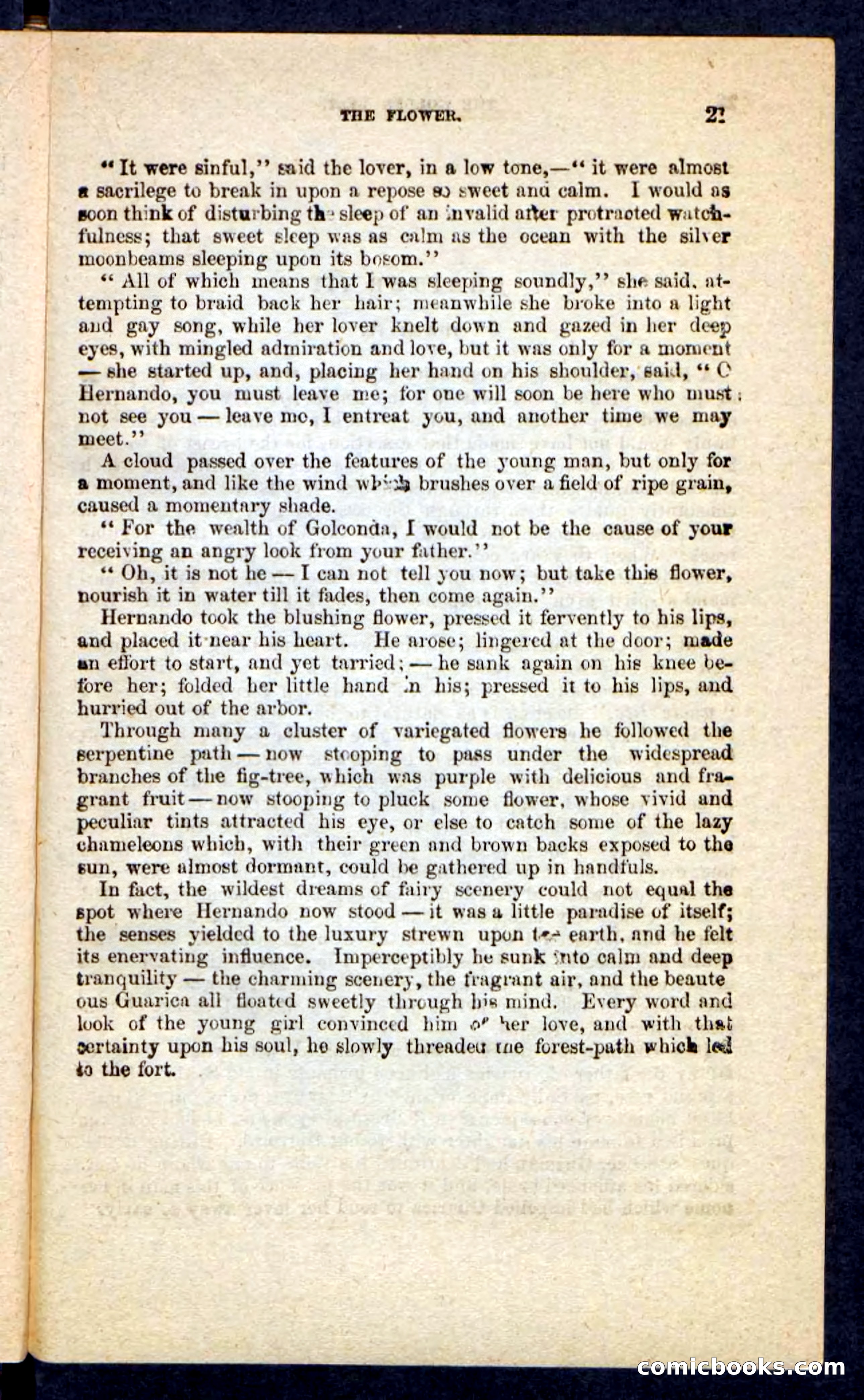 Beadle's Pocket Novels No. 230: The Golden Belt — page 17 of 100