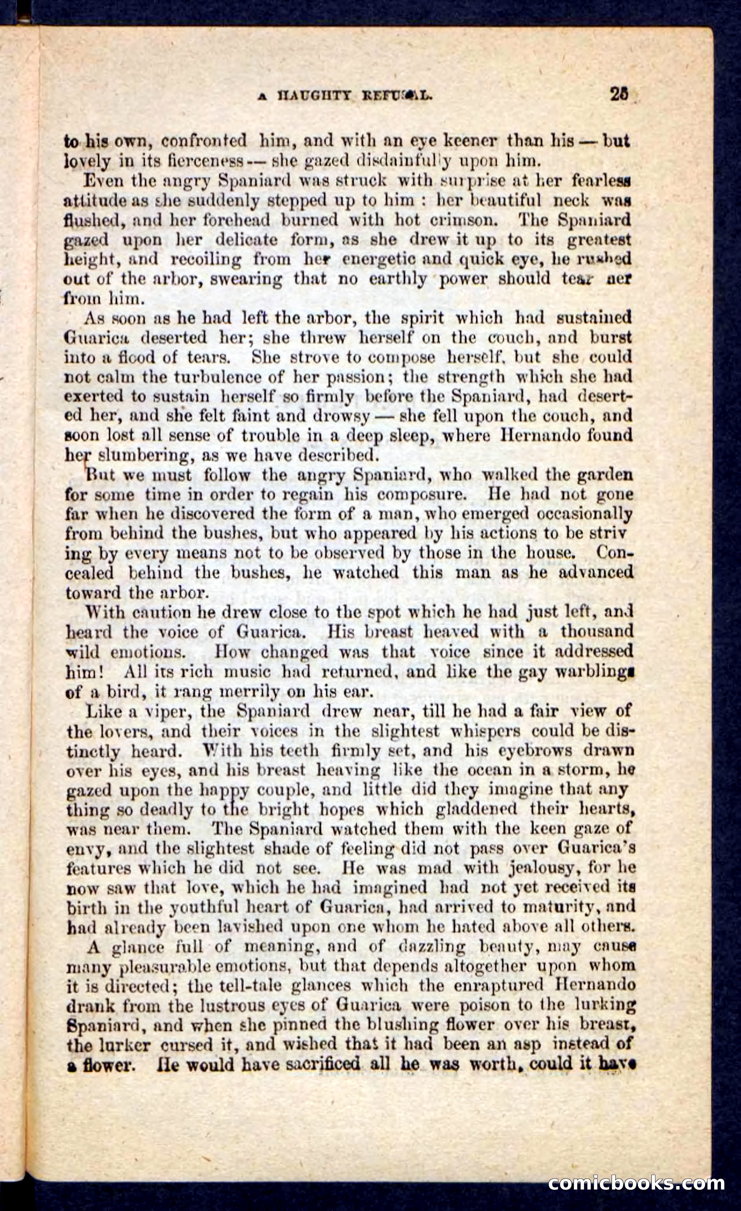 Beadle's Pocket Novels No. 230: The Golden Belt — page 21 of 100
