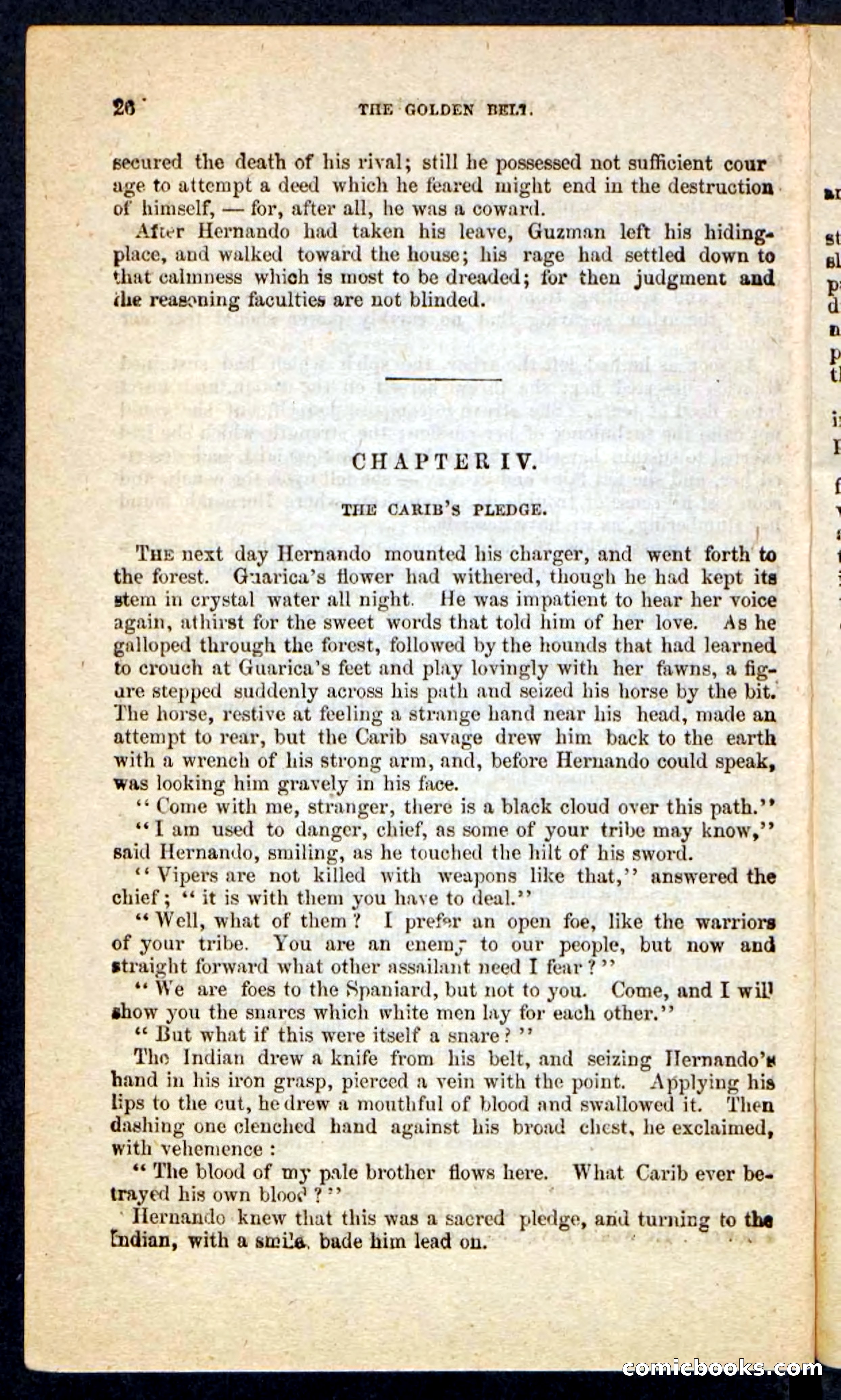 Beadle's Pocket Novels No. 230: The Golden Belt — page 22 of 100