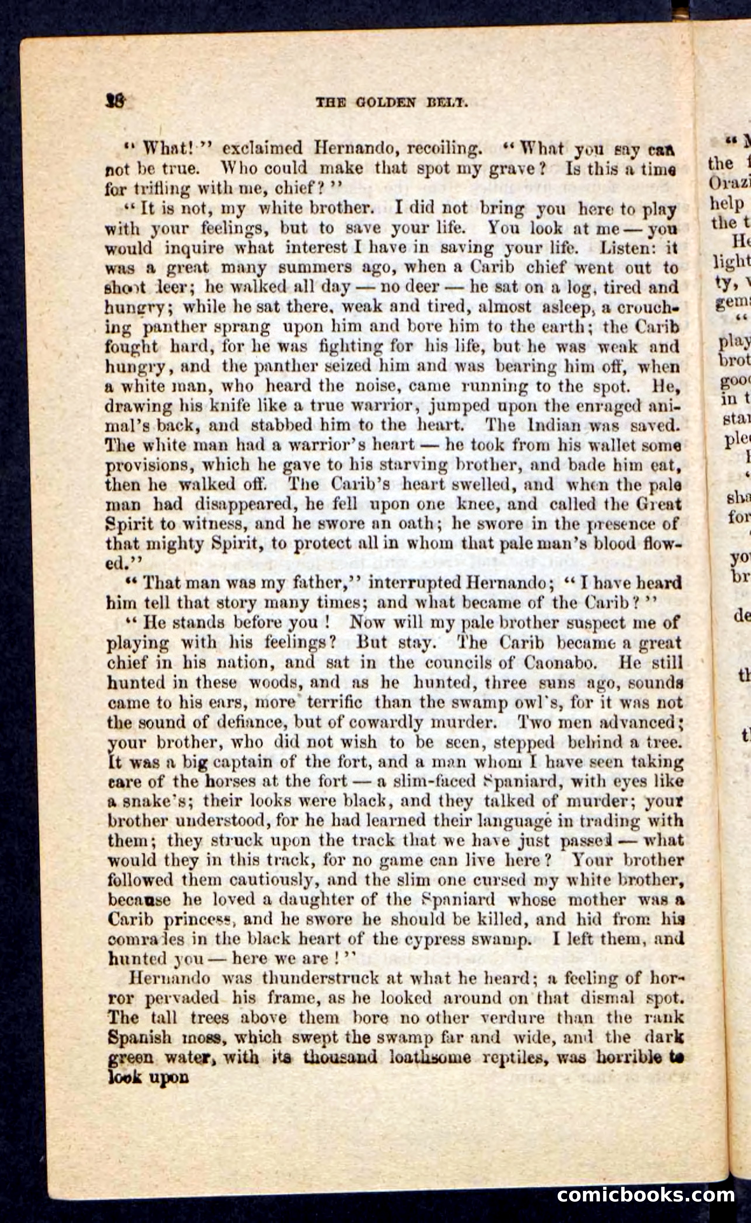 Beadle's Pocket Novels No. 230: The Golden Belt — page 24 of 100