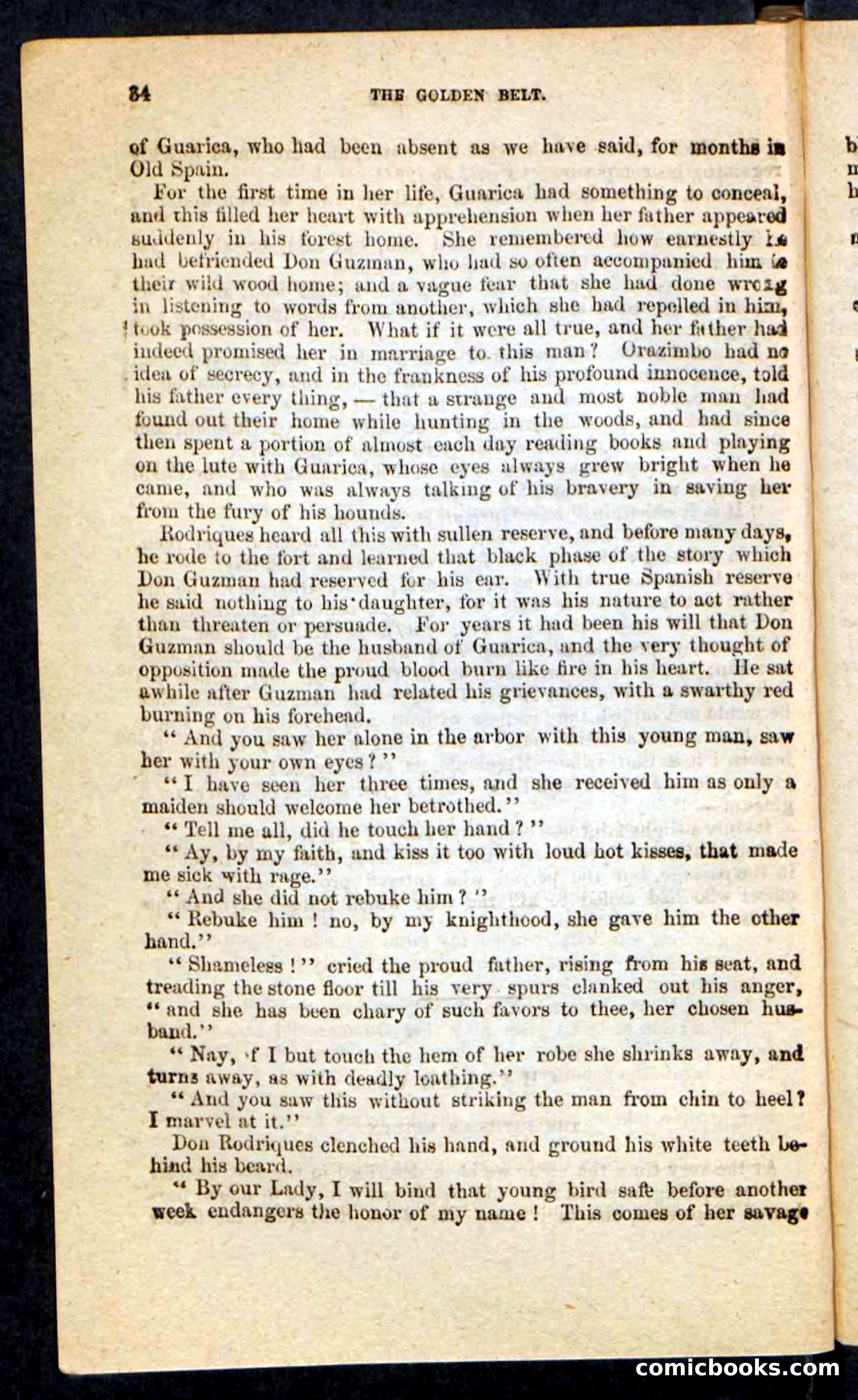 Beadle's Pocket Novels No. 230: The Golden Belt — page 30 of 100