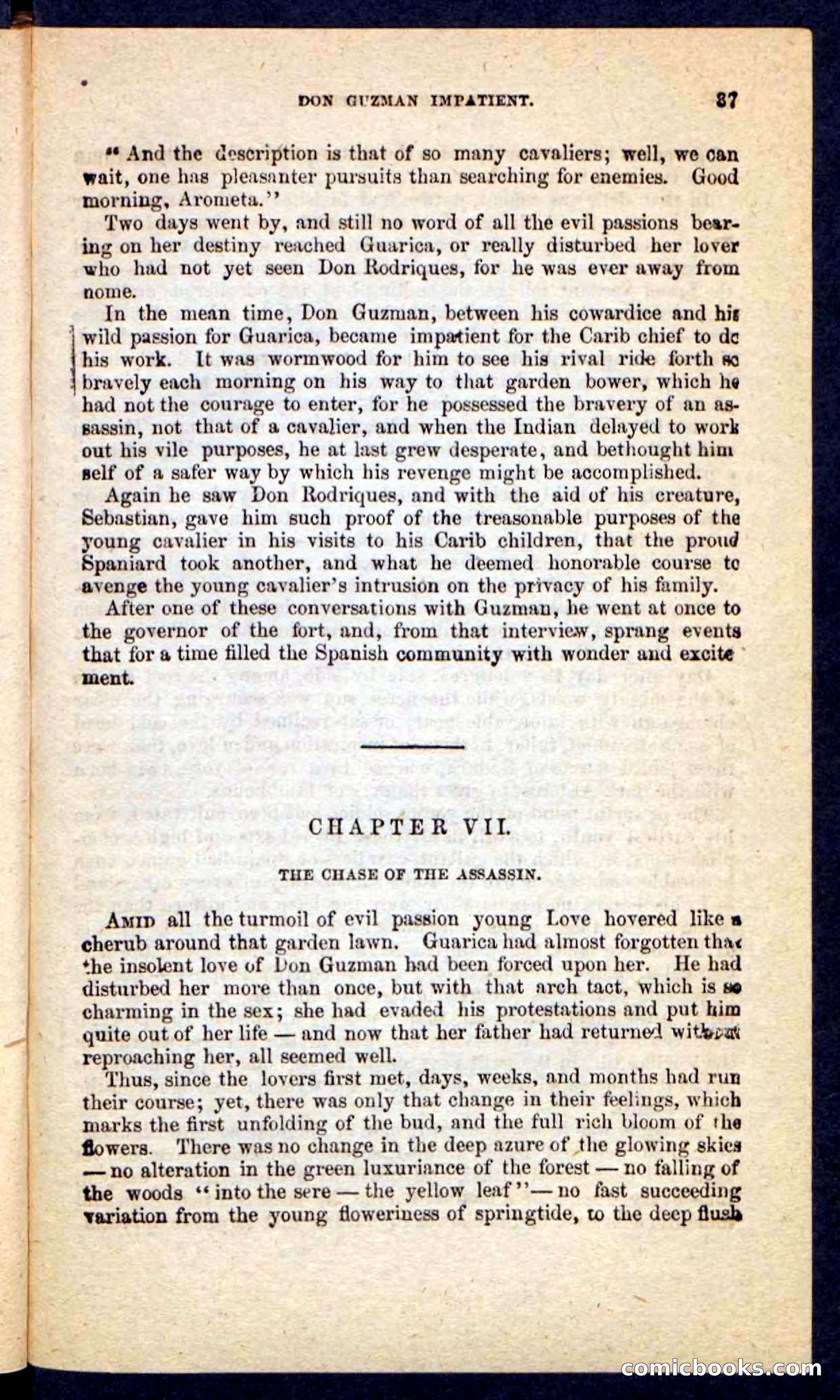 Beadle's Pocket Novels No. 230: The Golden Belt — page 33 of 100