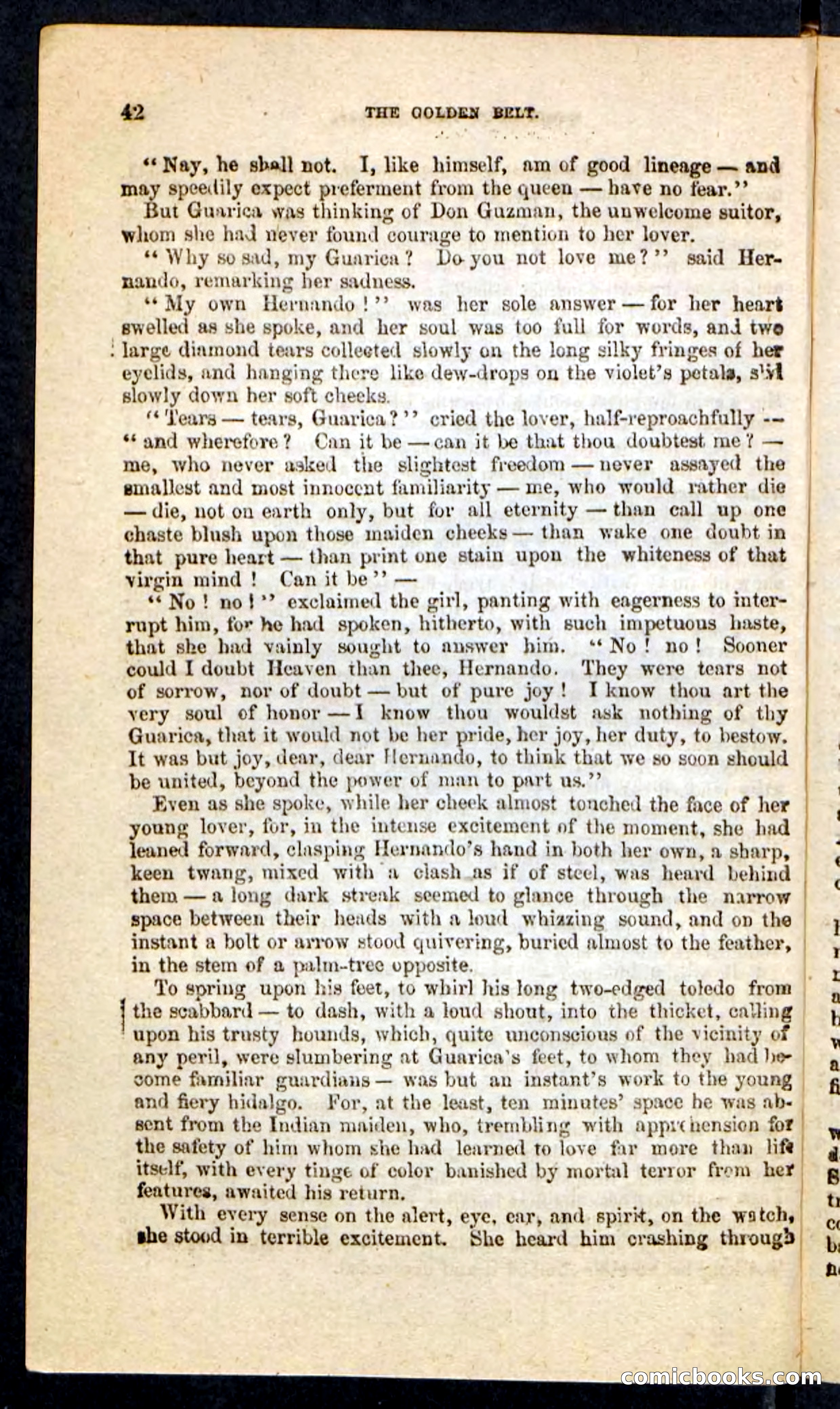 Beadle's Pocket Novels No. 230: The Golden Belt — page 38 of 100