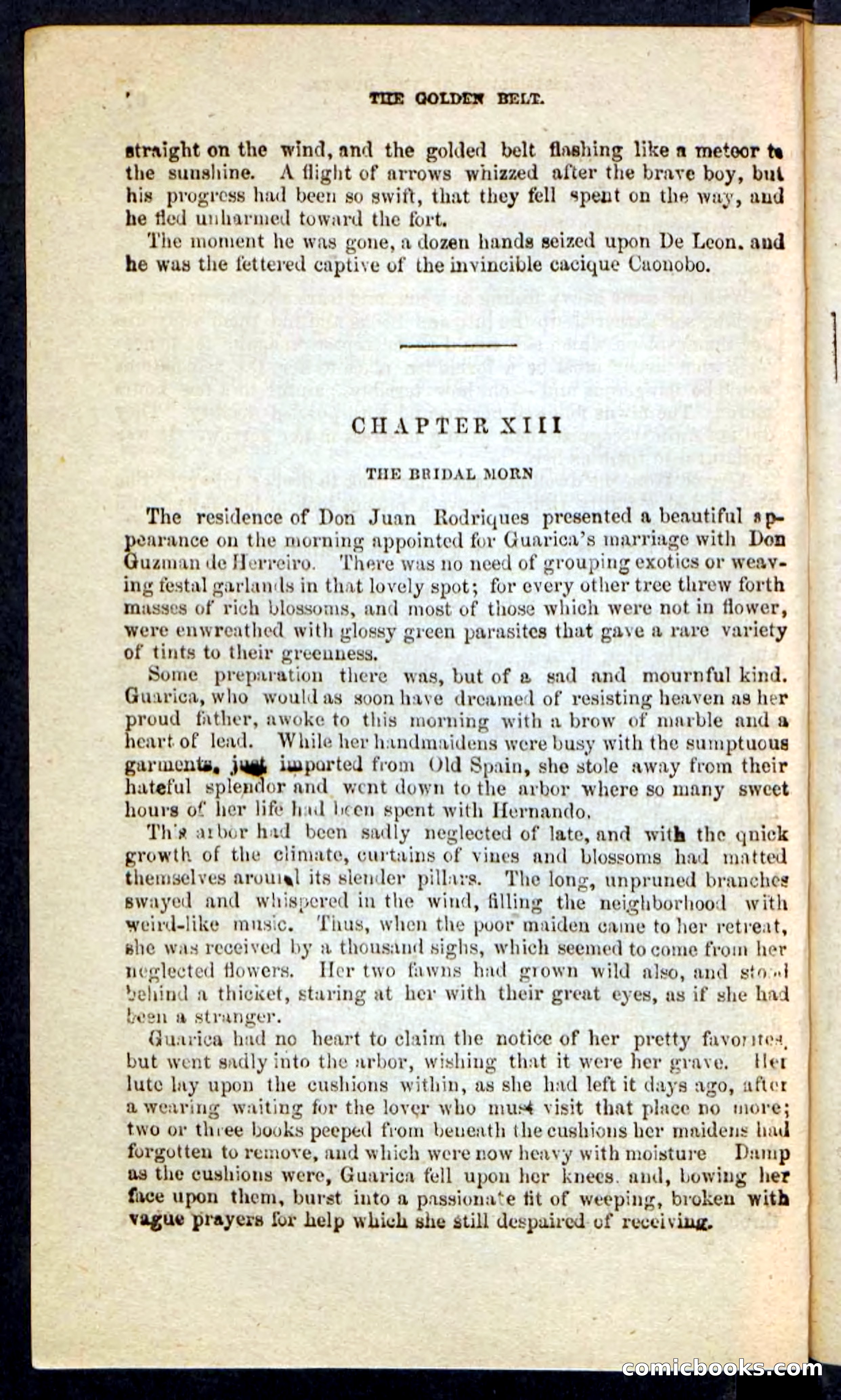 Beadle's Pocket Novels No. 230: The Golden Belt — page 64 of 100
