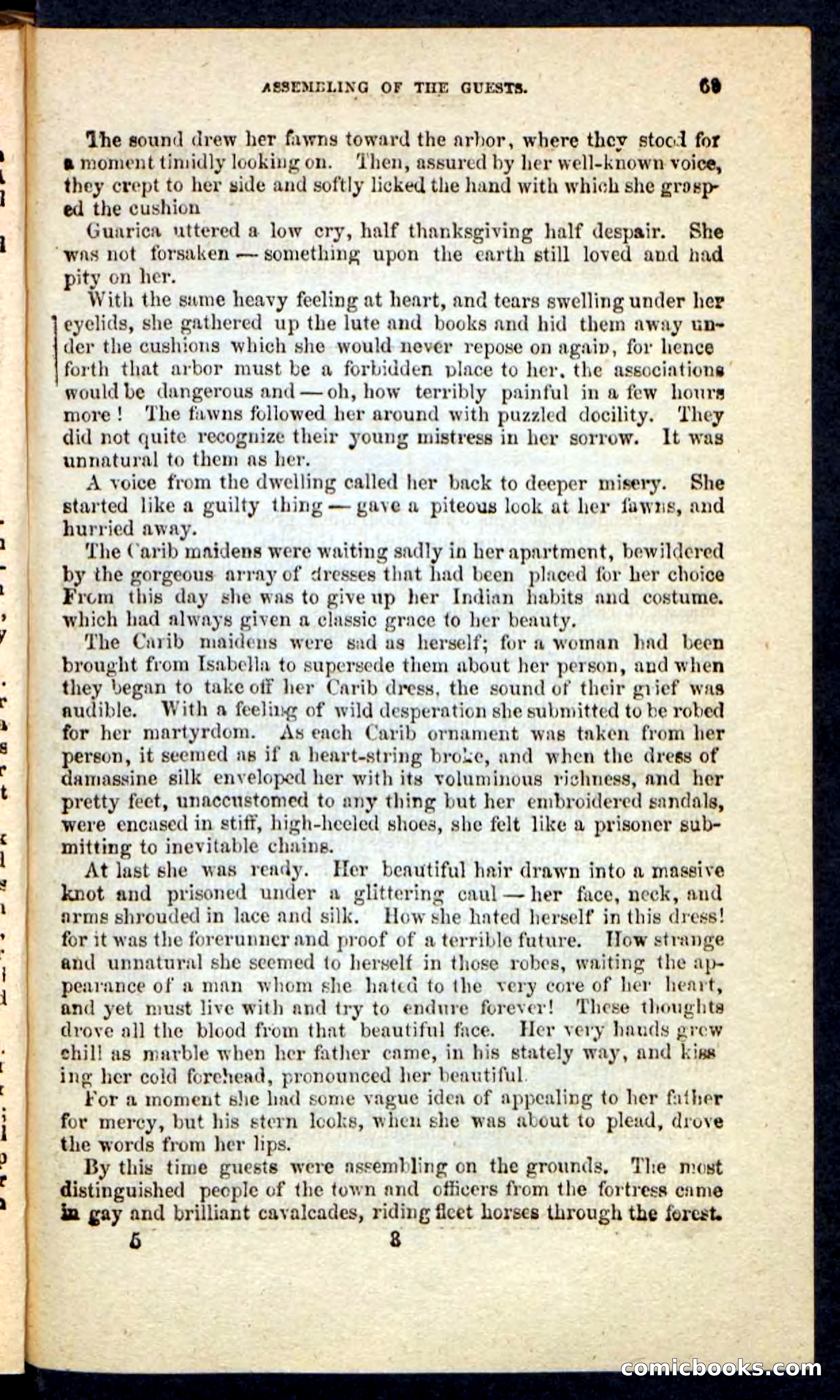 Beadle's Pocket Novels No. 230: The Golden Belt — page 65 of 100