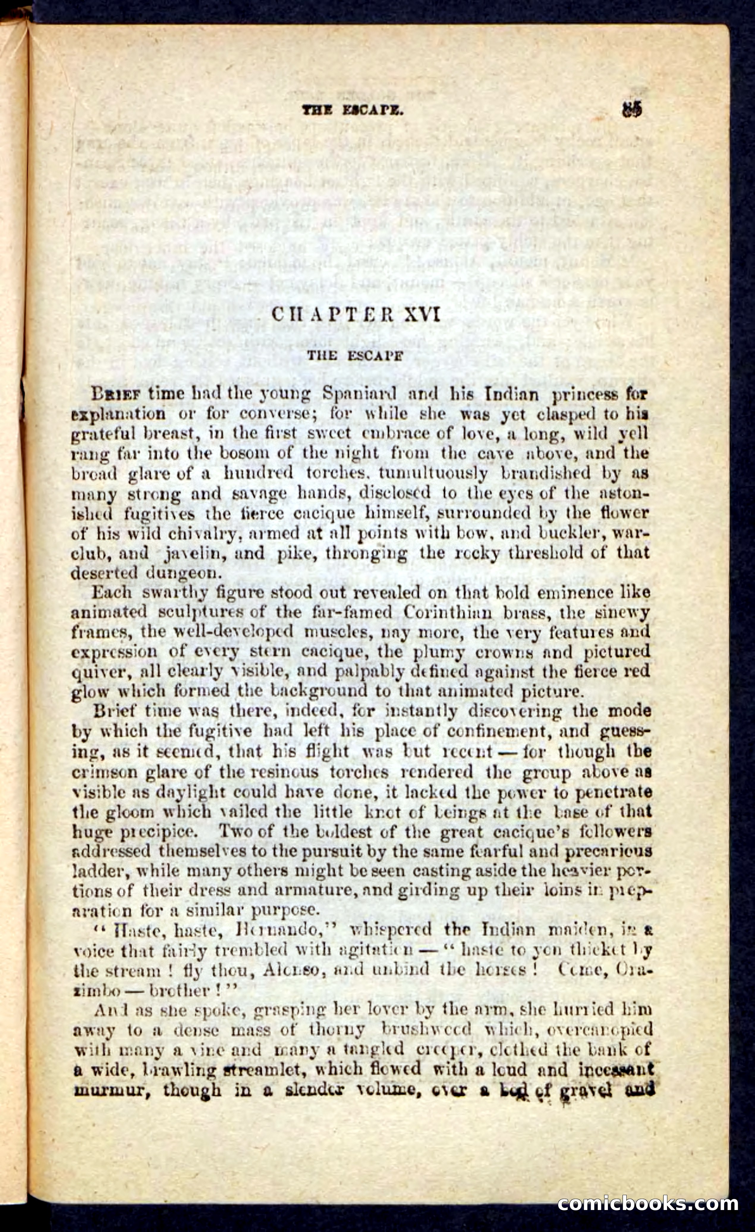 Beadle's Pocket Novels No. 230: The Golden Belt — page 81 of 100