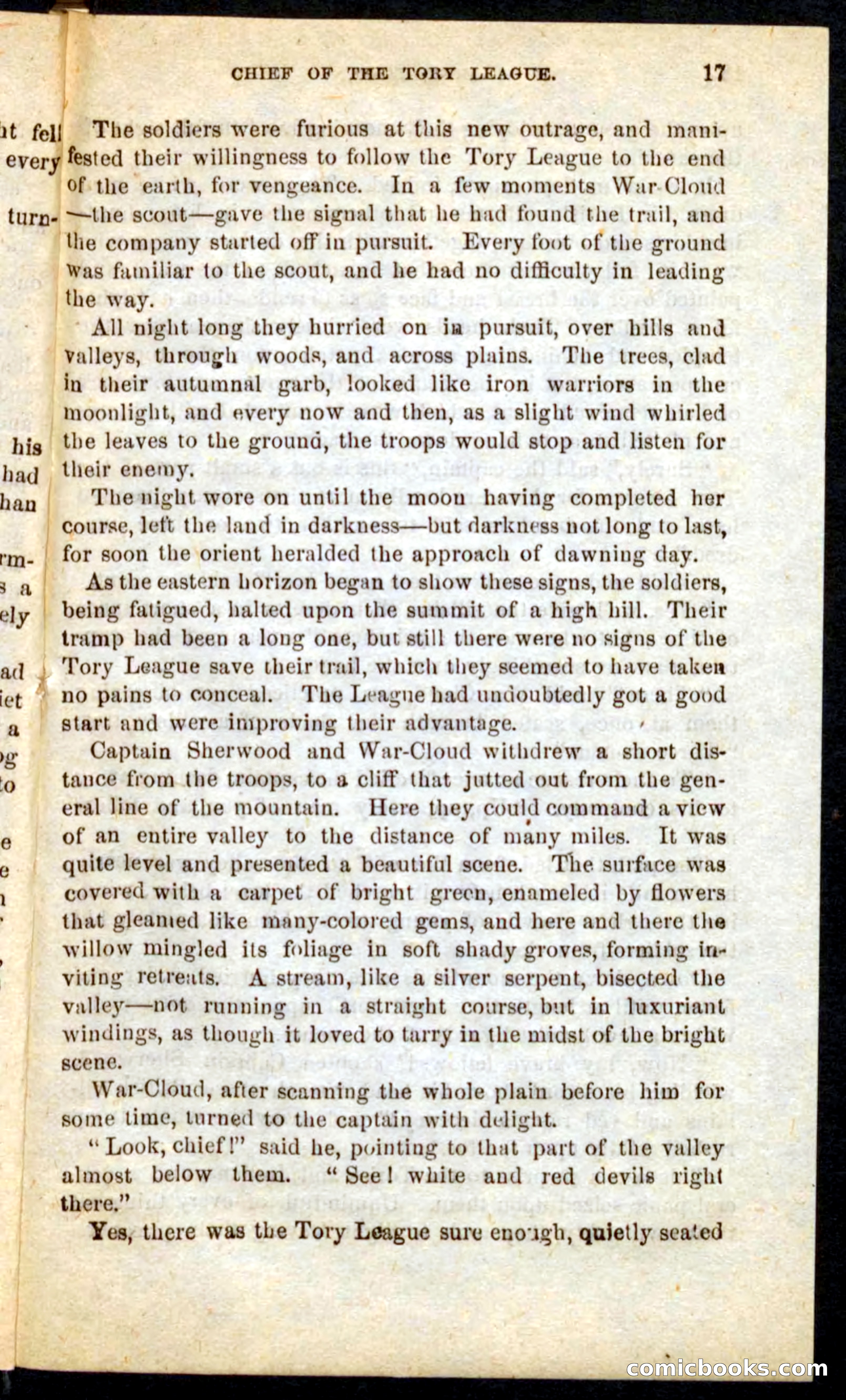 Beadle's Pocket Novels No. 68: Iron Hand, the Tory Chief — page 13 of 100